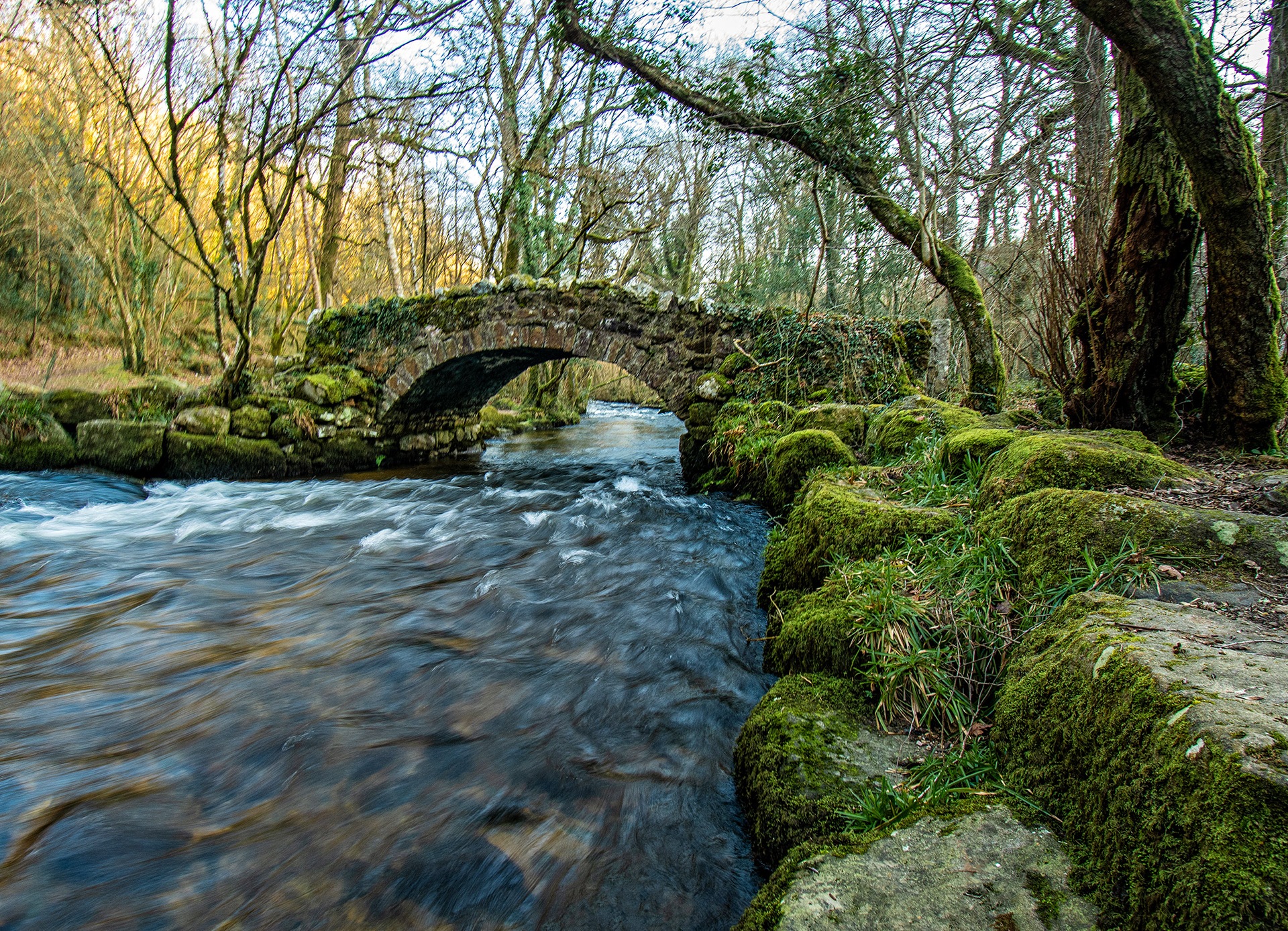 The River Bovey at Hisley Bridge