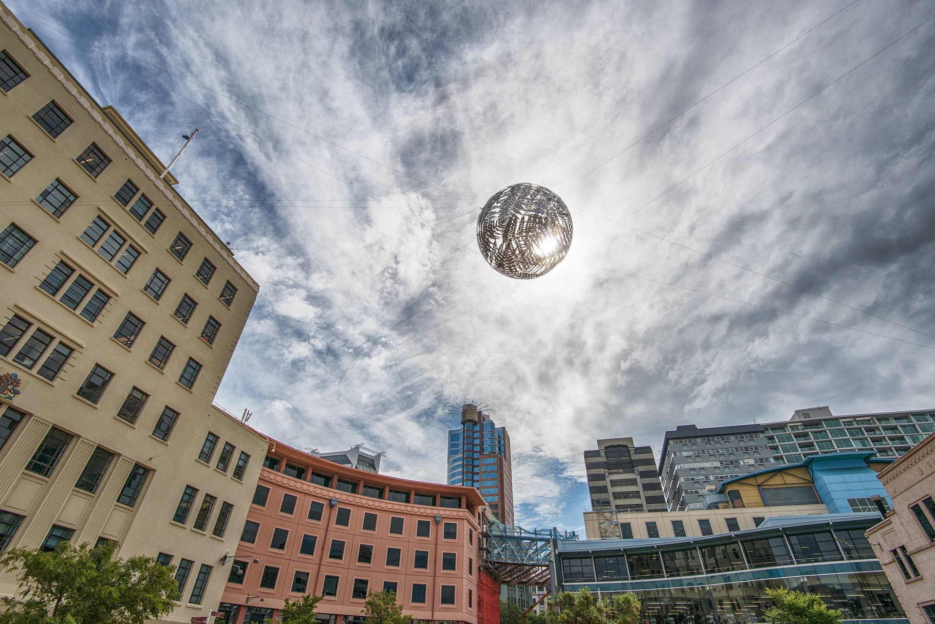 Wellington Fern Ball