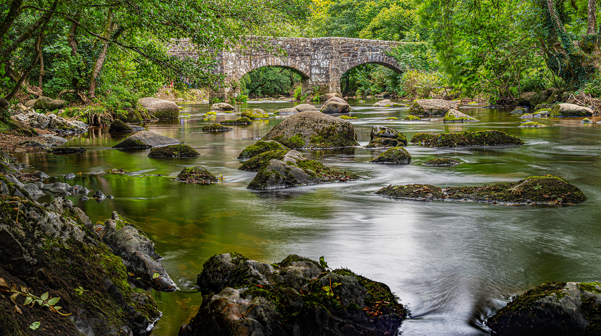 Fingle Bridge