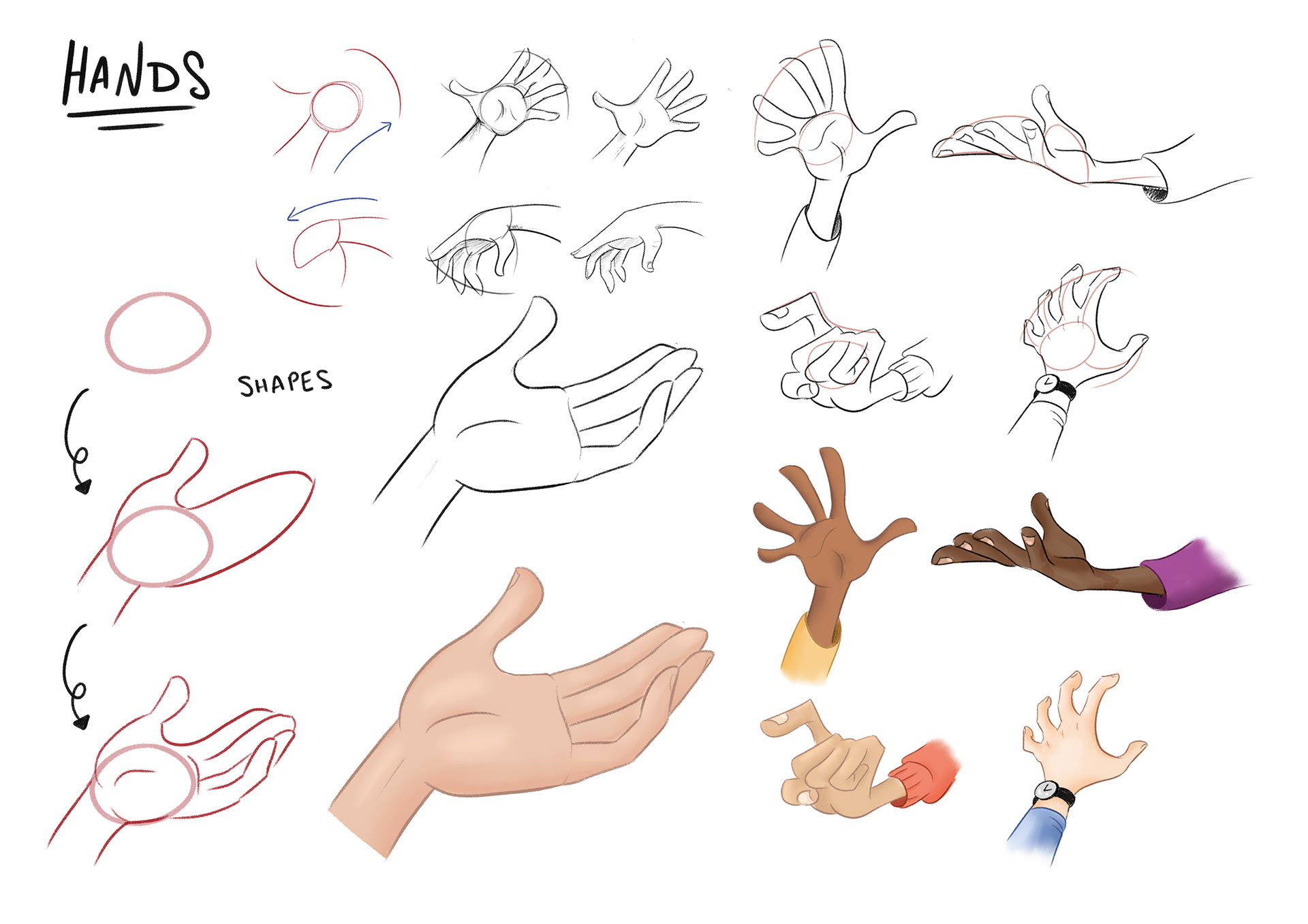 Studies - Hands