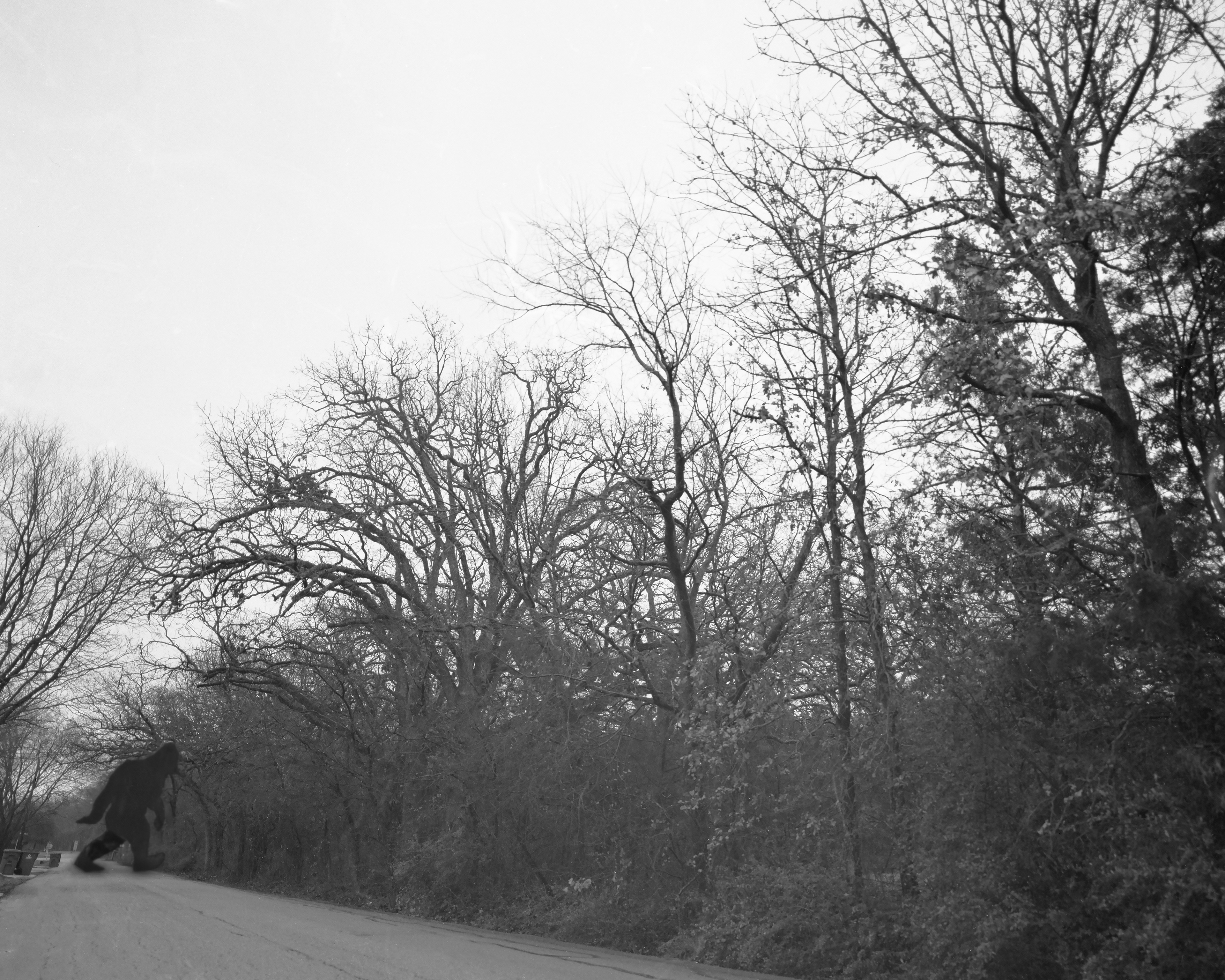 February 2025 (4x5 Film)