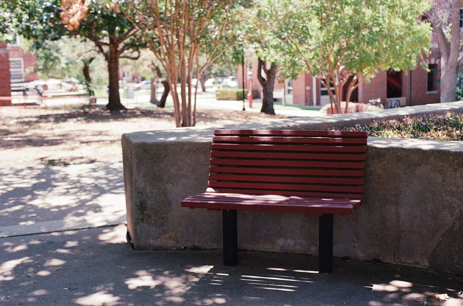 September 2023 (35mm)