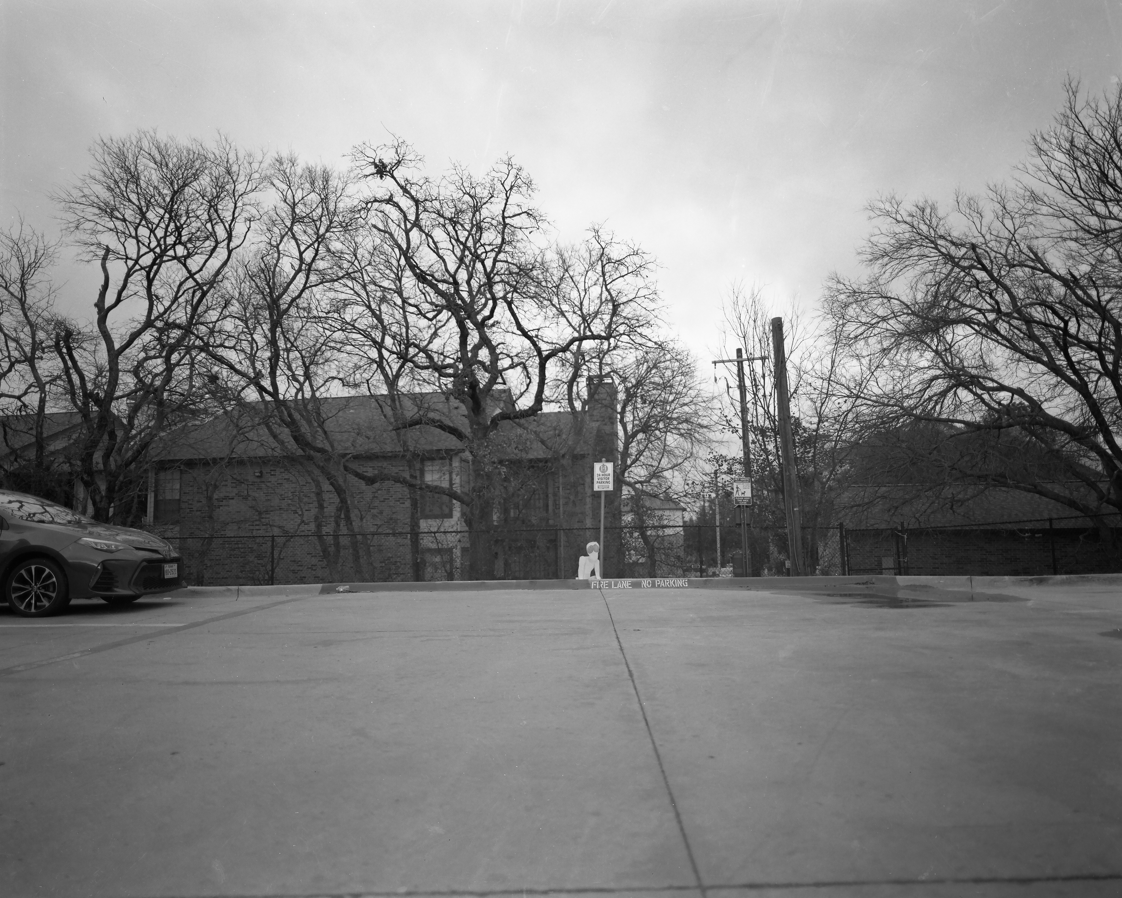 February 2025 (4x5 Film)