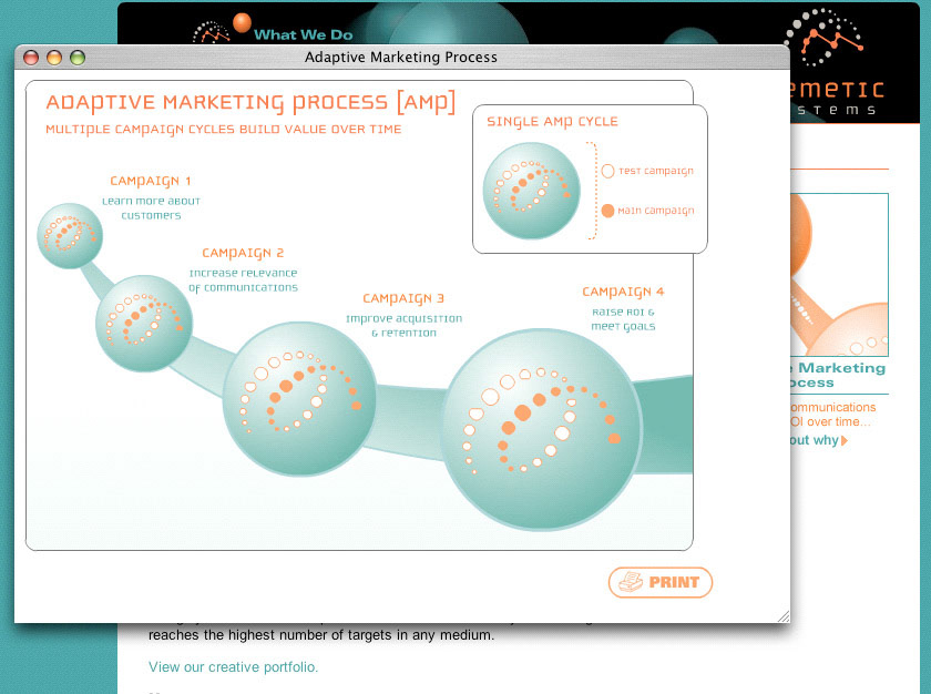 Website design & illustrations