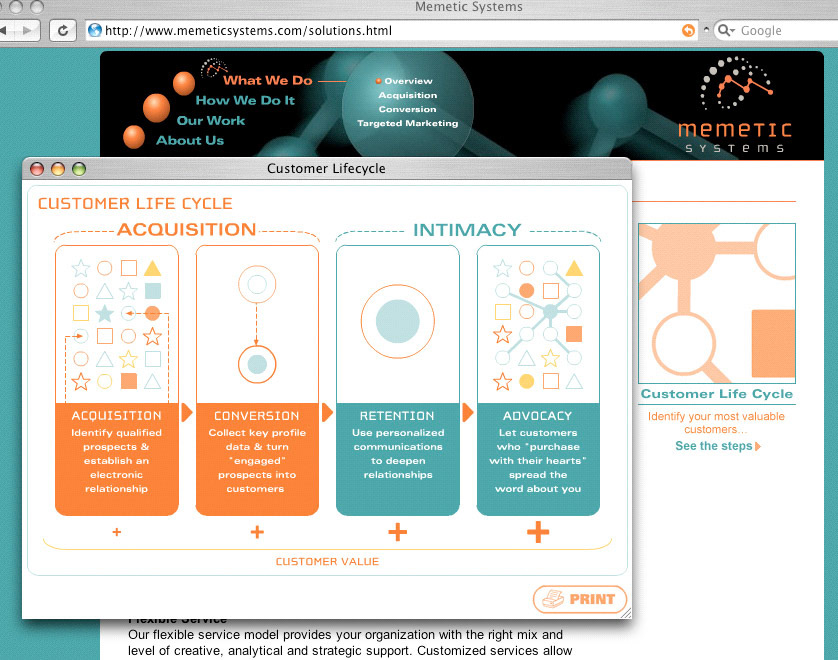 Website design & illustrations