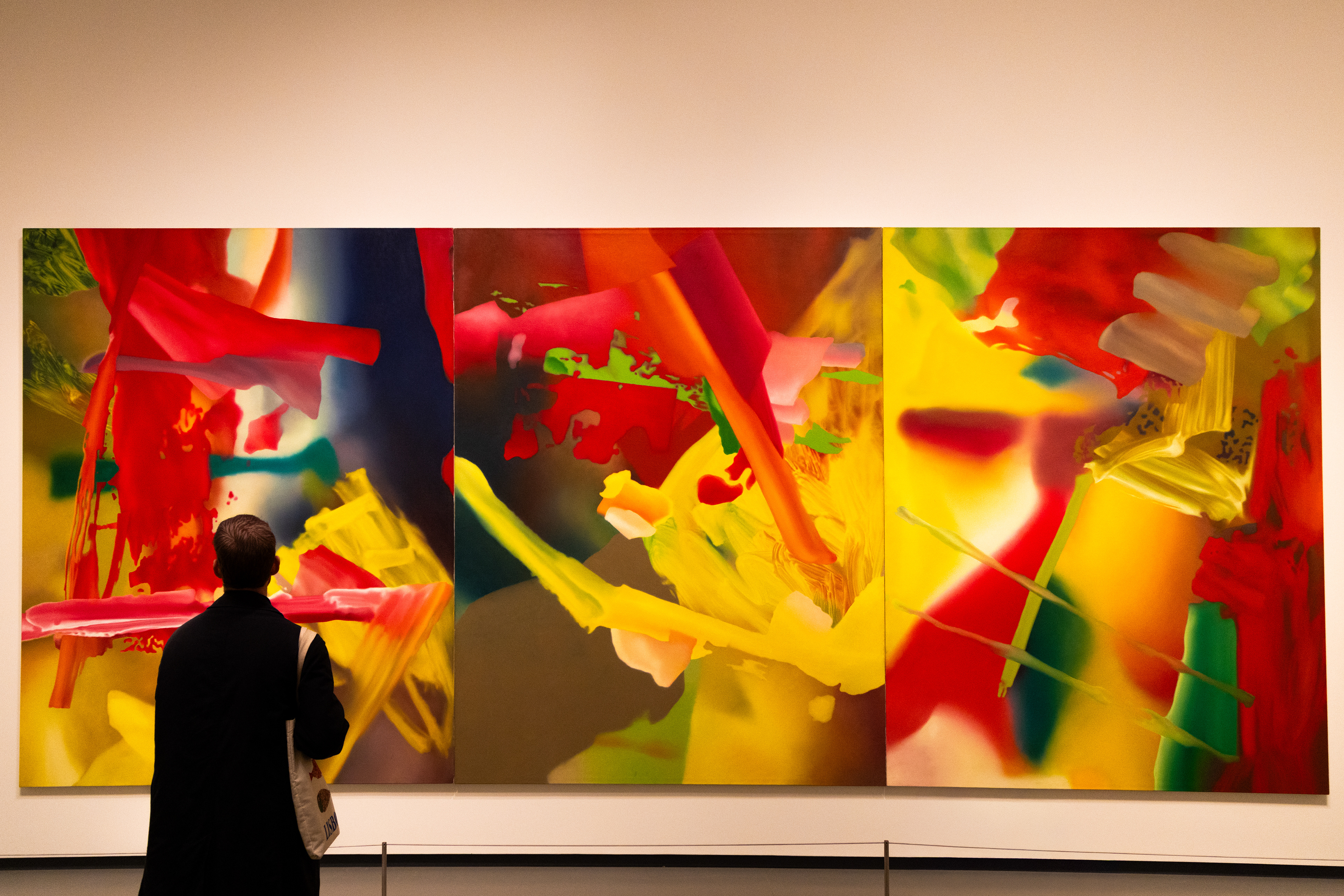 The painting Admirer