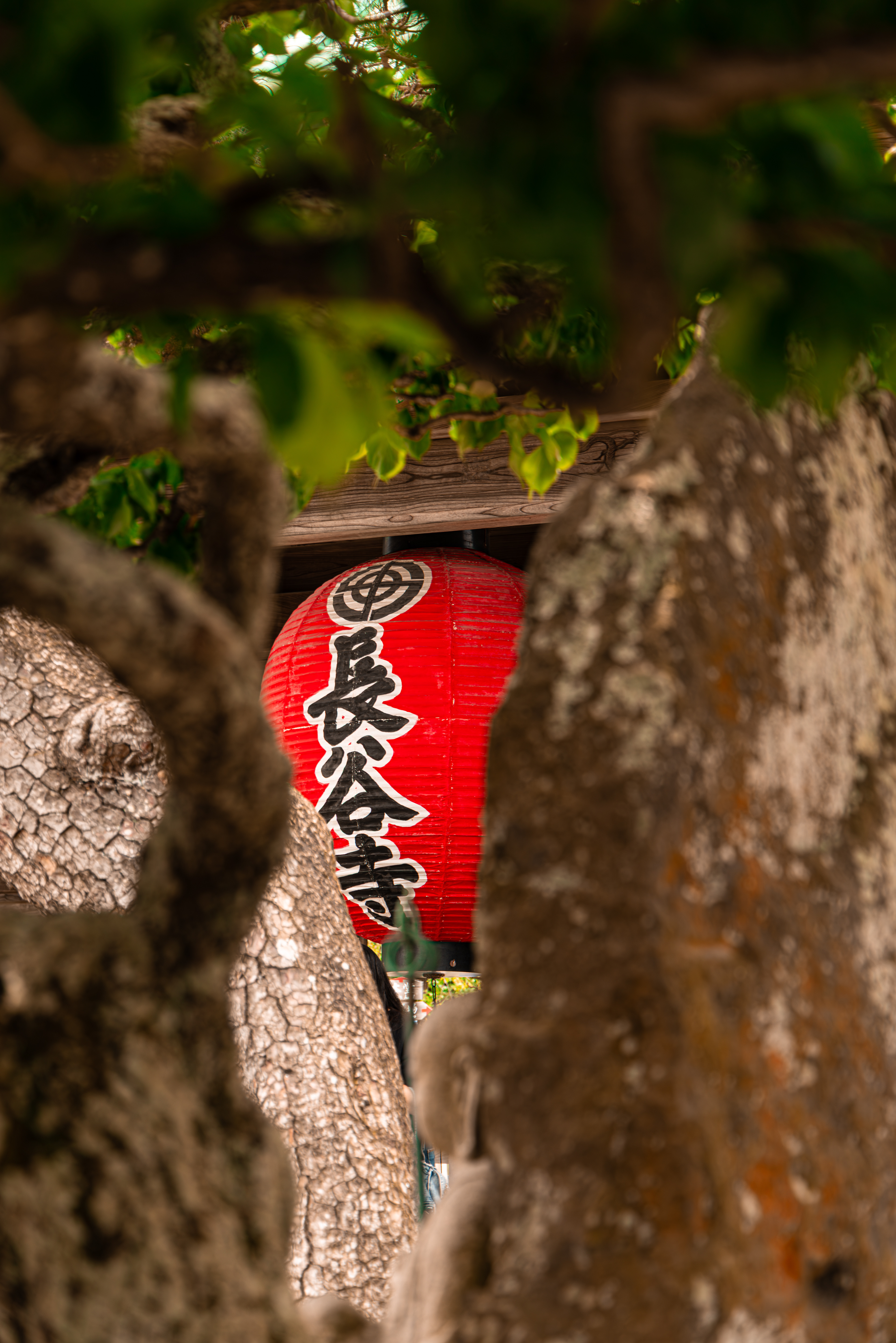 Red Lantern