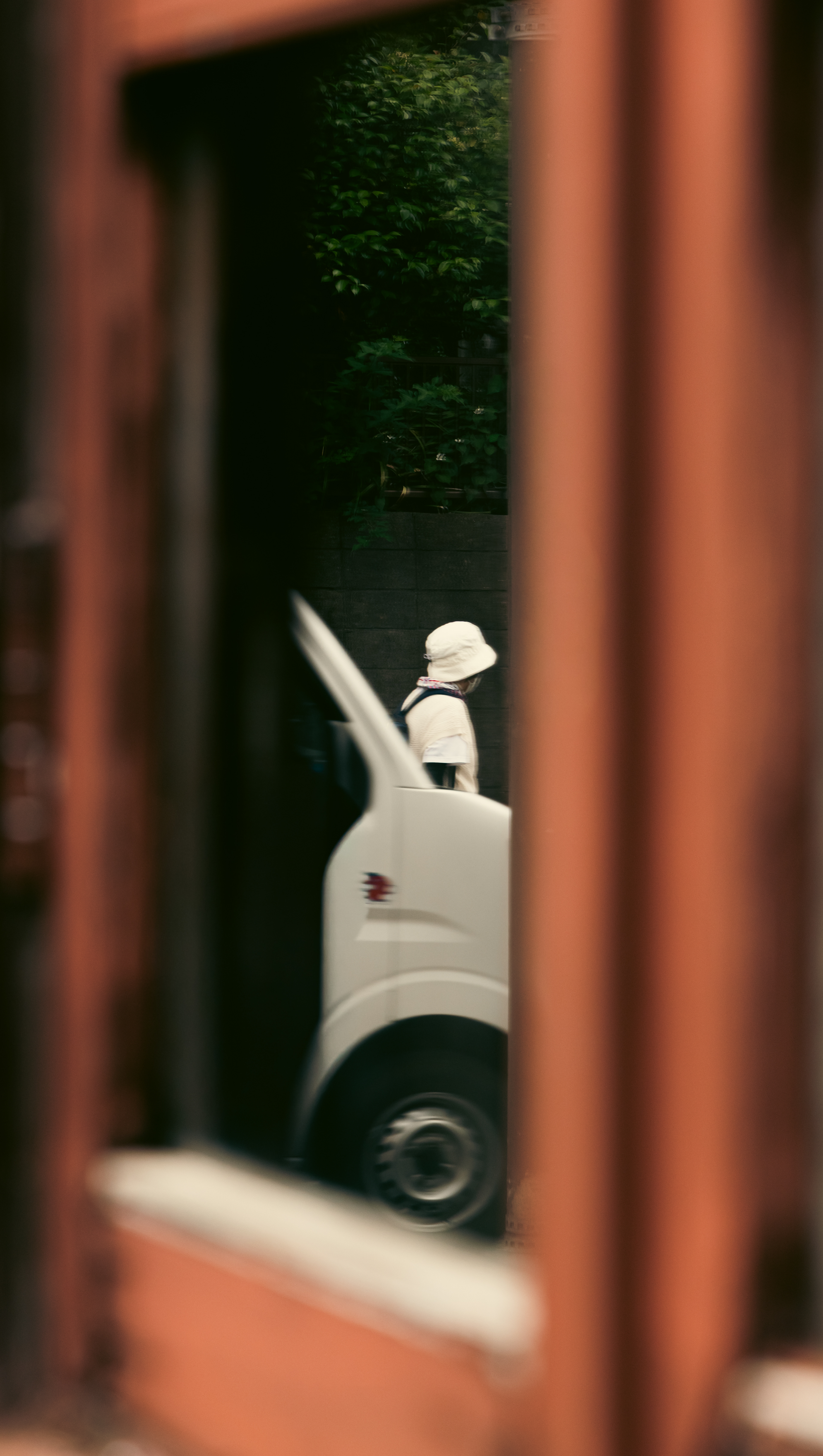 Red Window