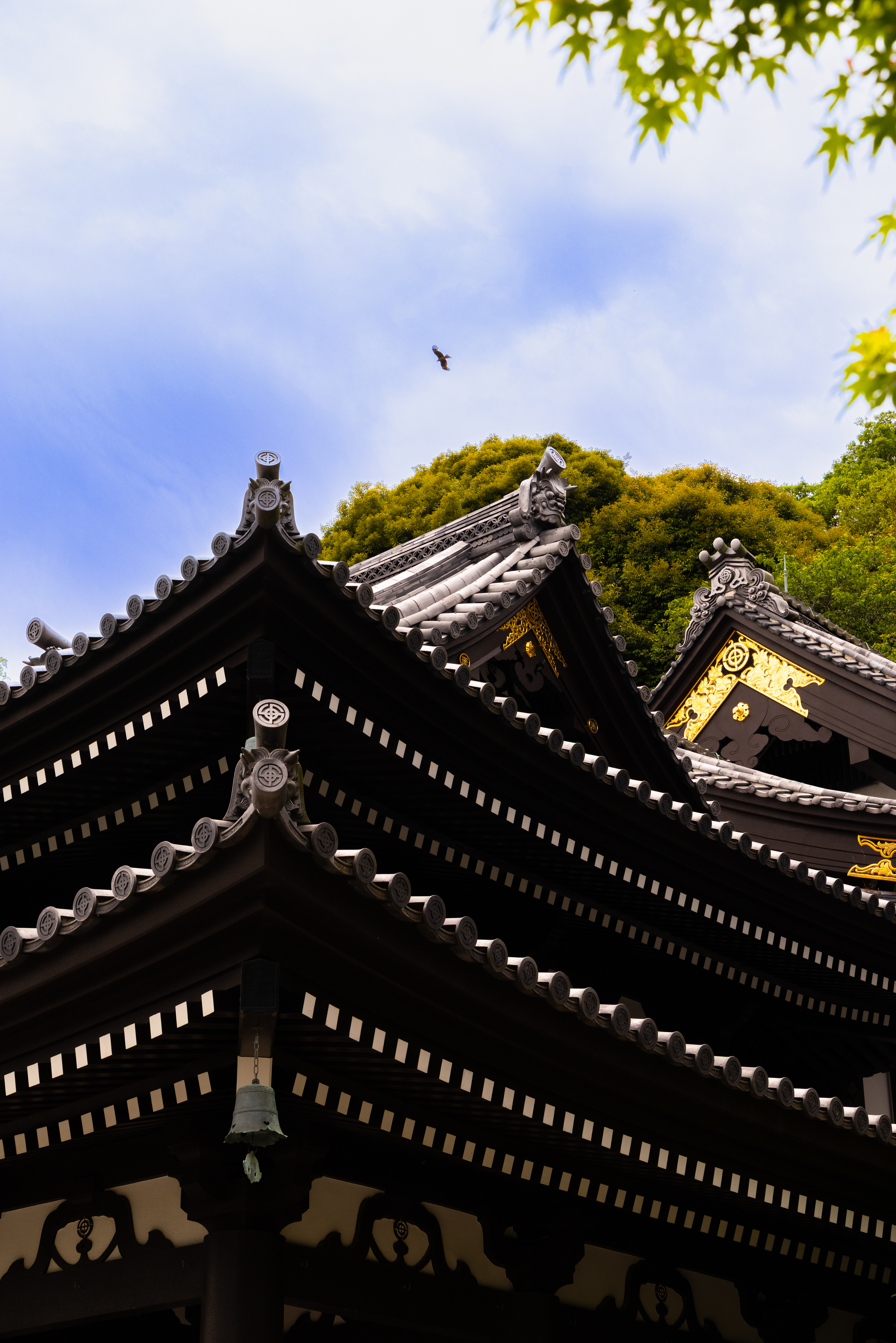 The Bird and the temple