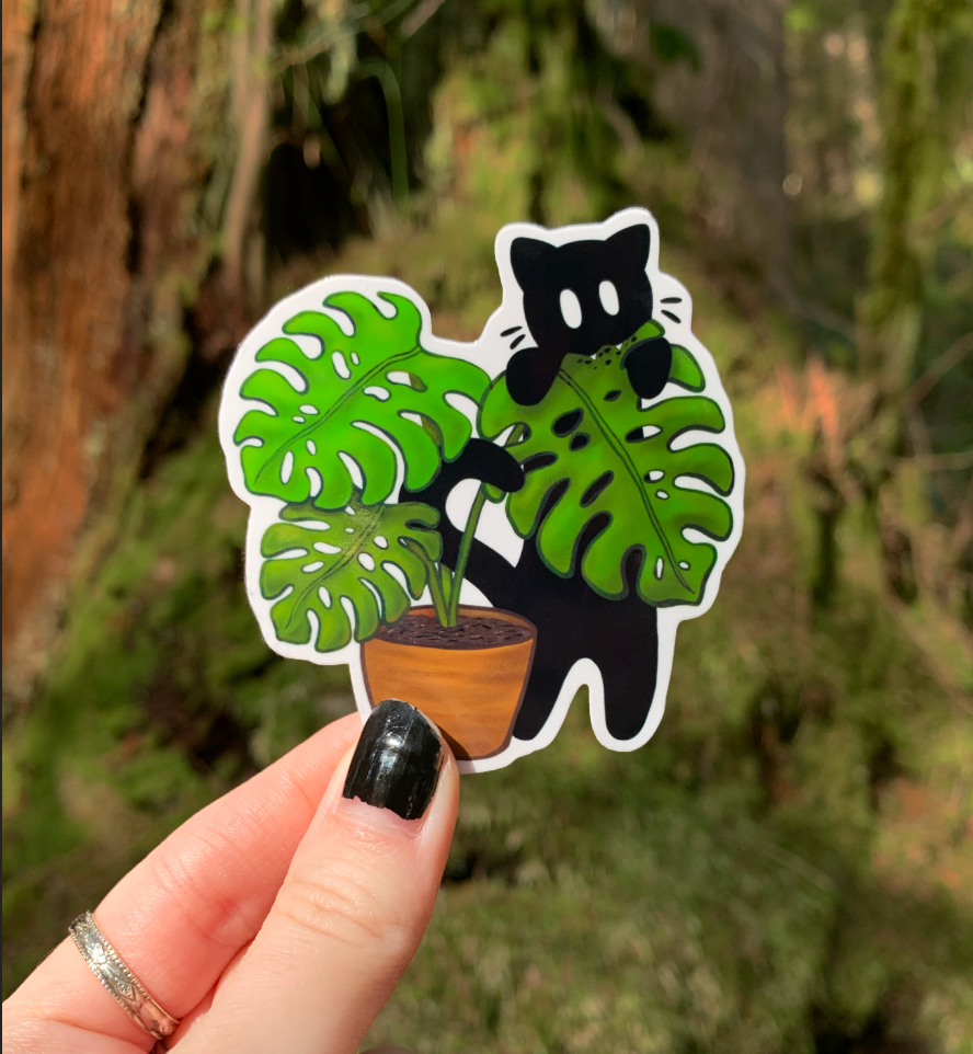Monstera Cat