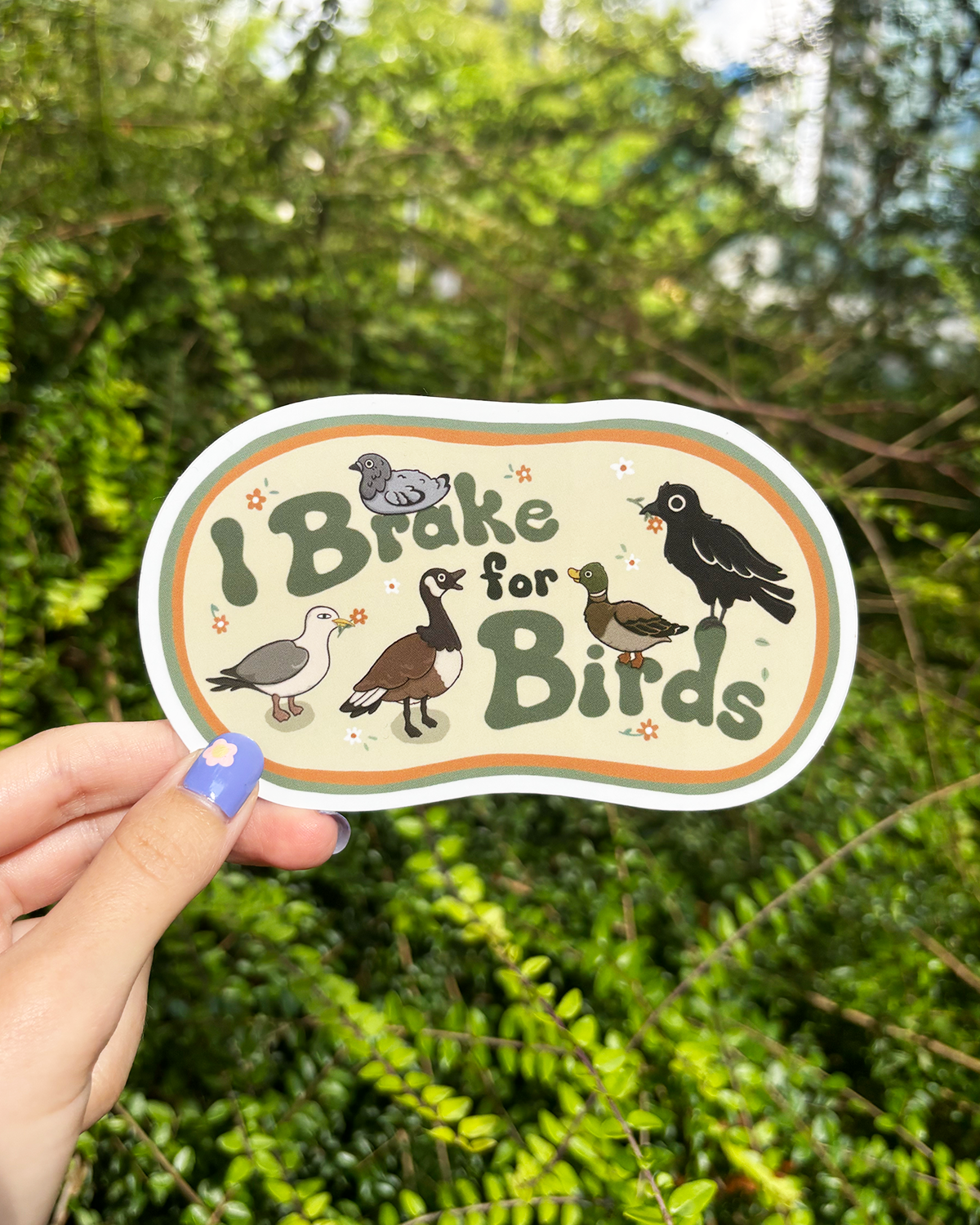 I Brake for Birds
