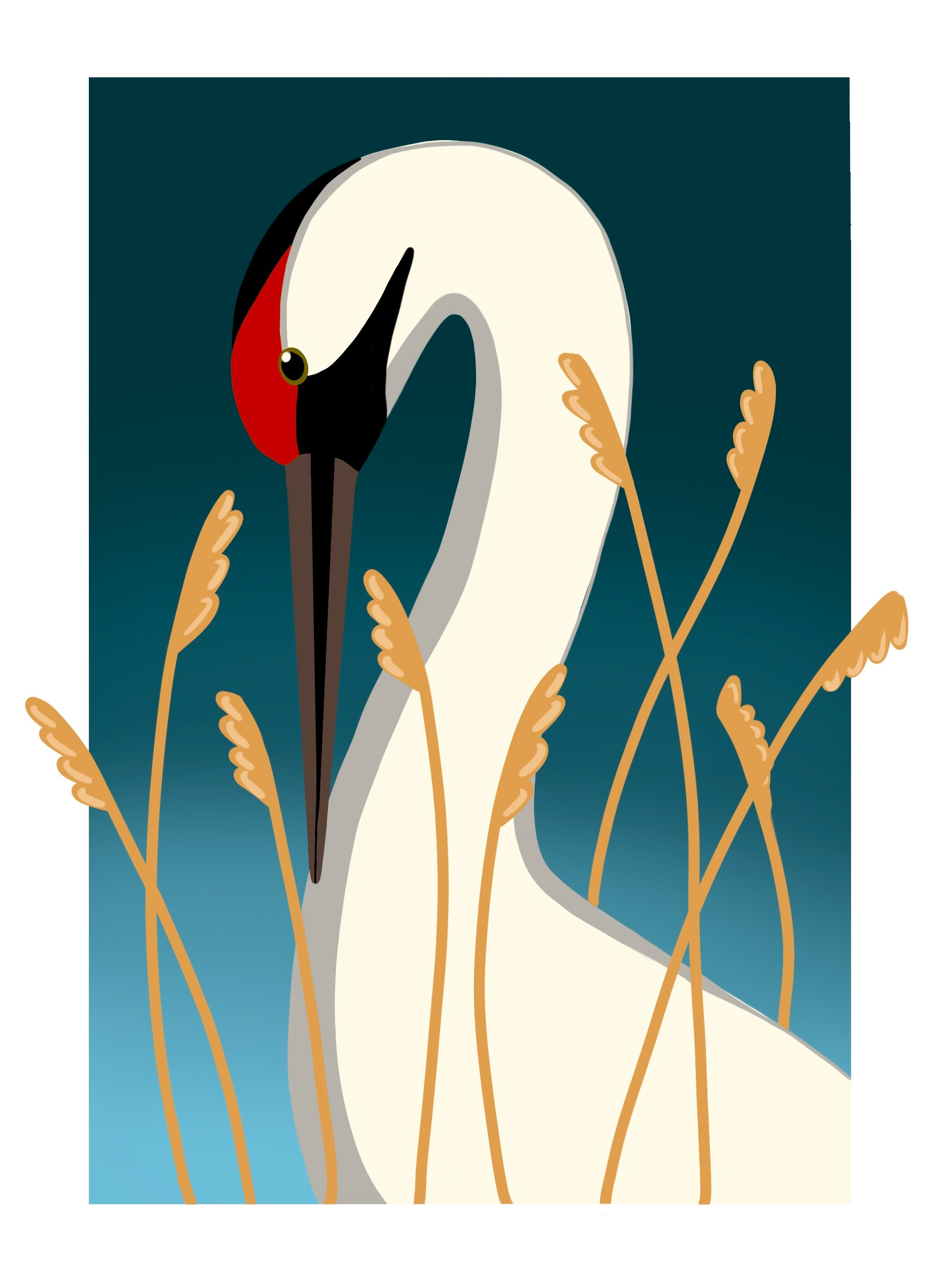 Crane Among the Wheat