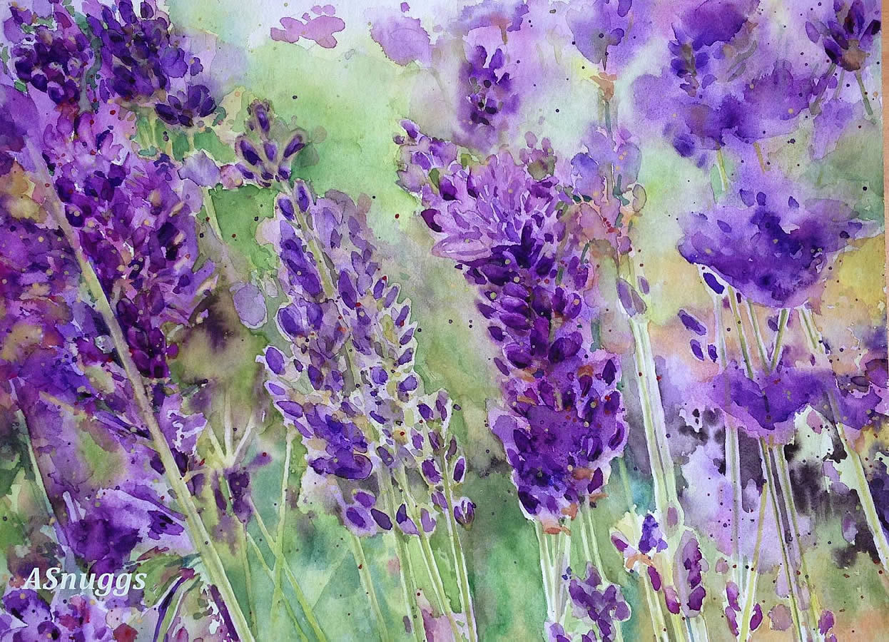 Lavendar