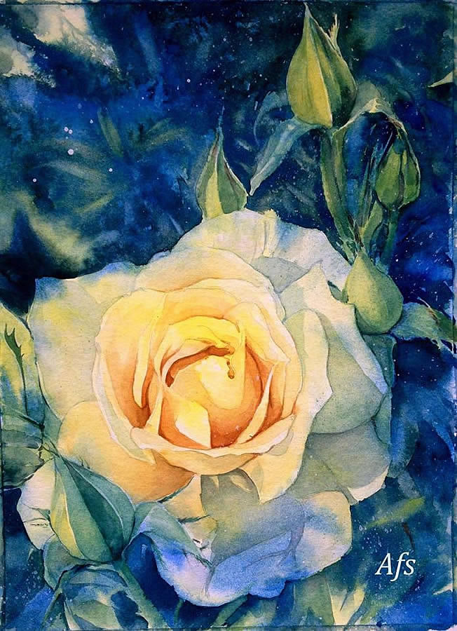Yellow rose