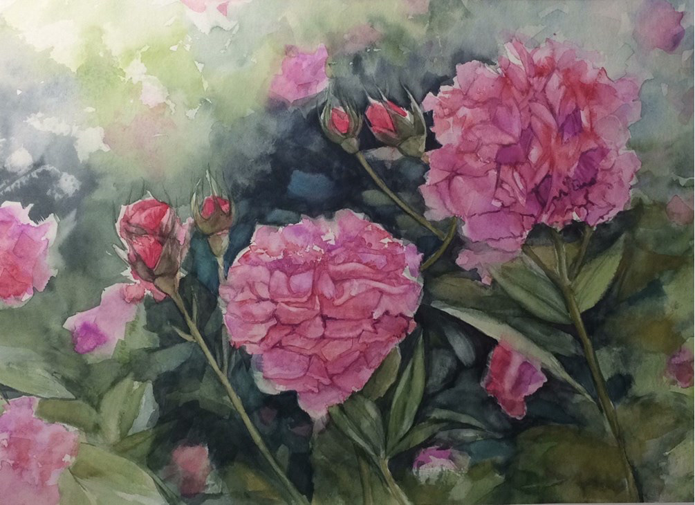 Rose garden