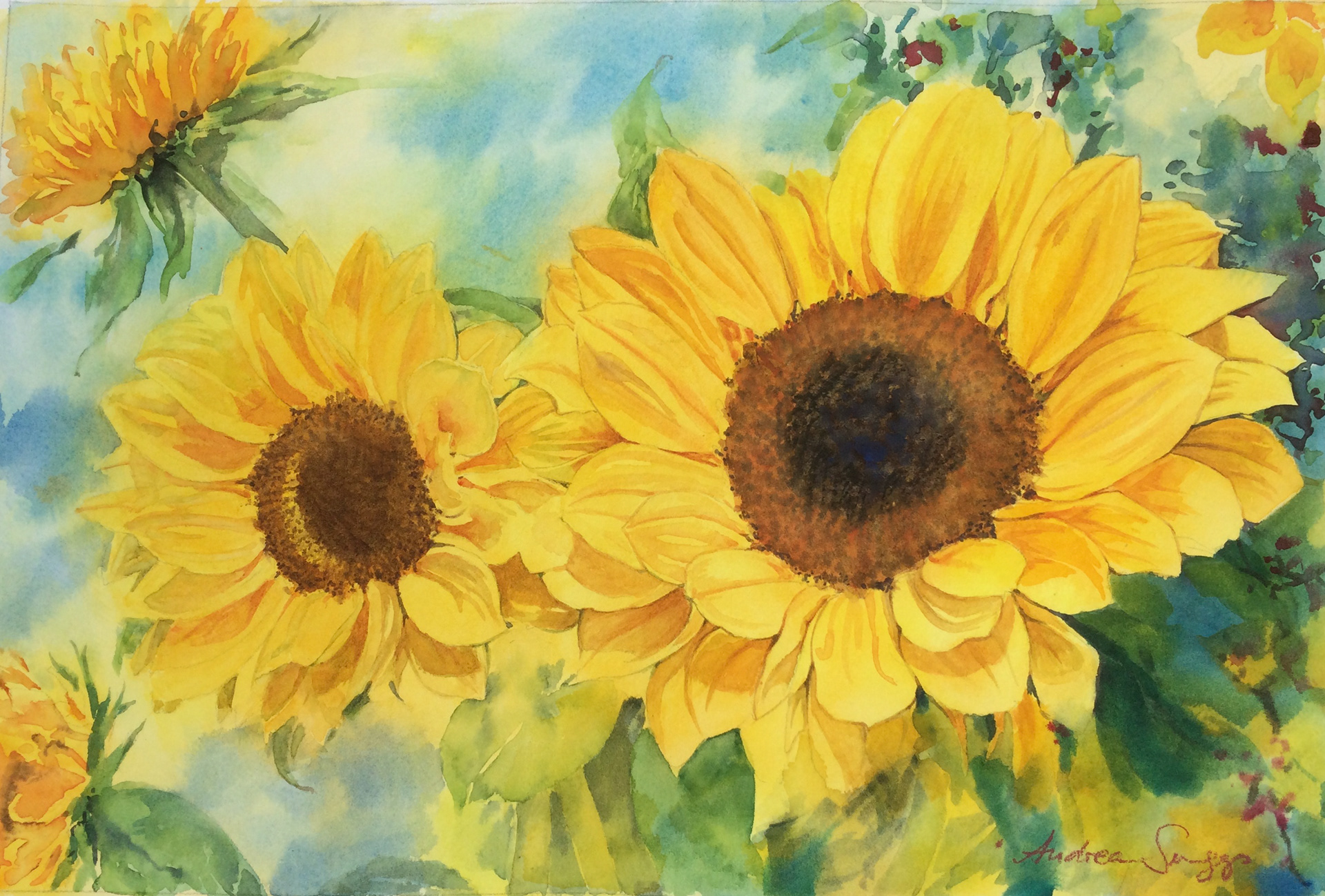 Nathalie’s sunflowers