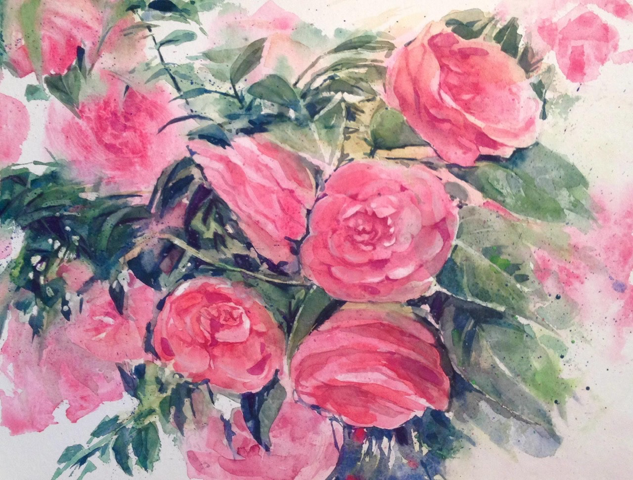 Camellia