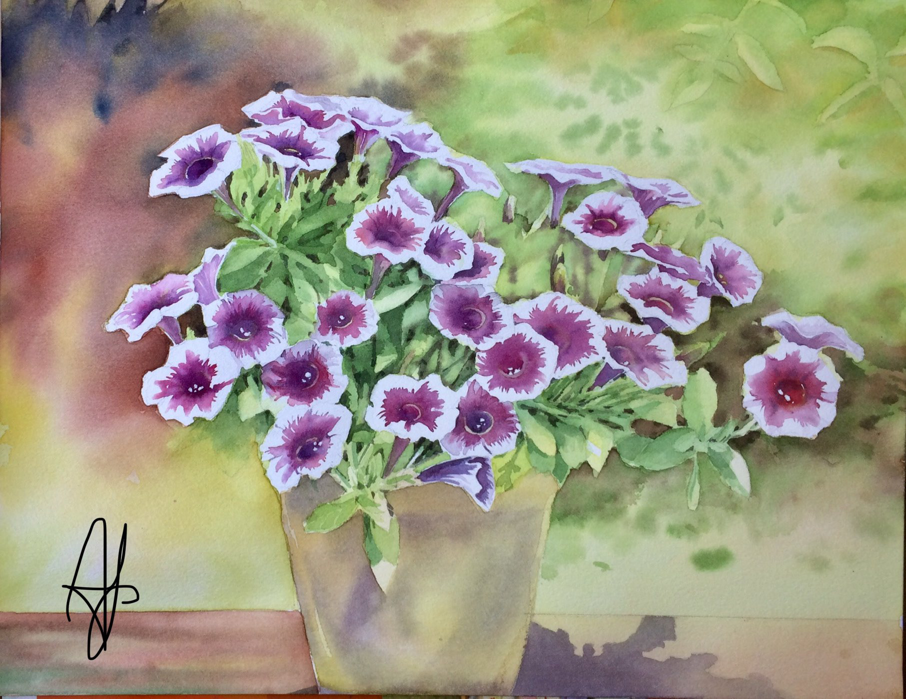 Ursula’s petunia