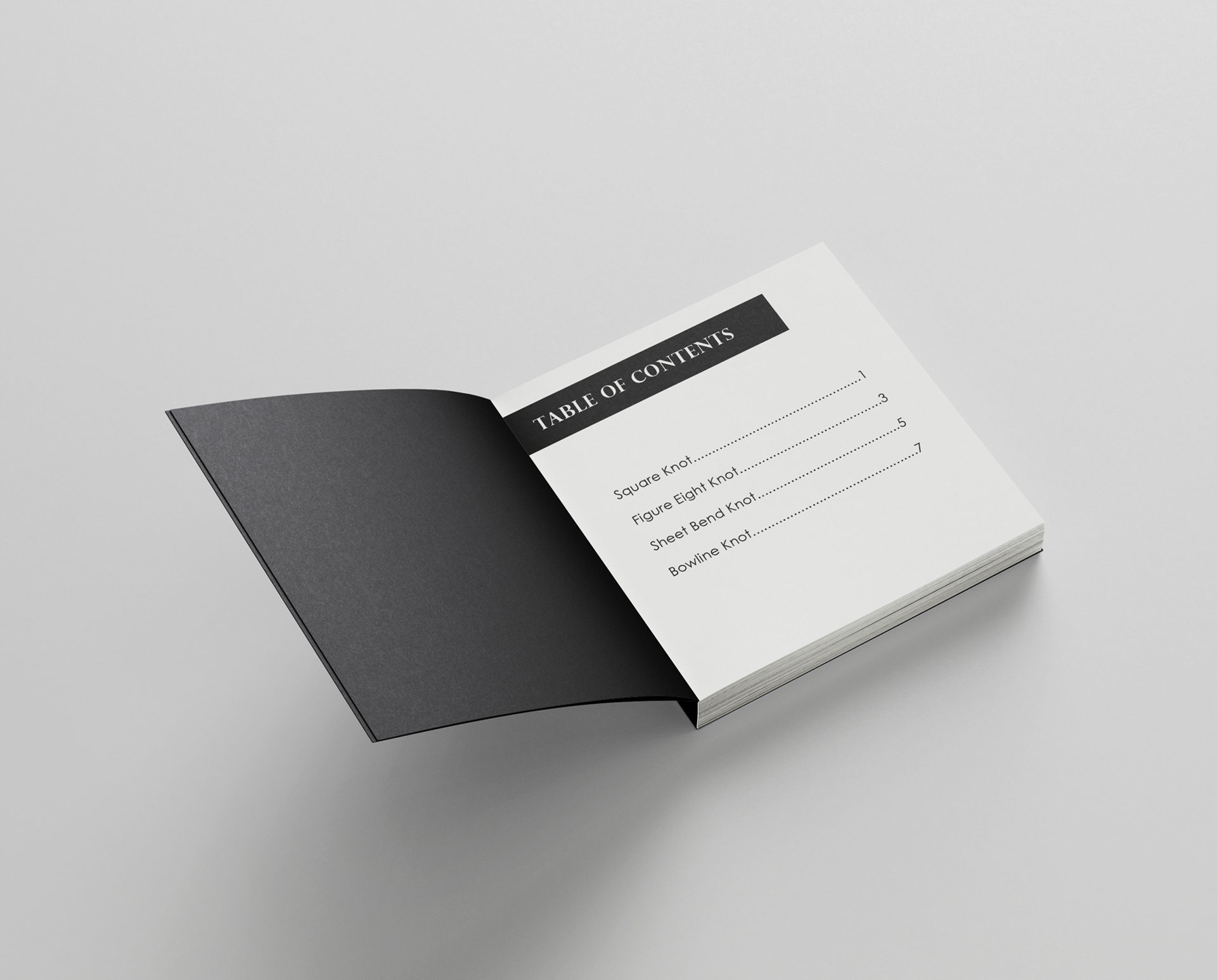 A mockup showing the book's table of contents.
