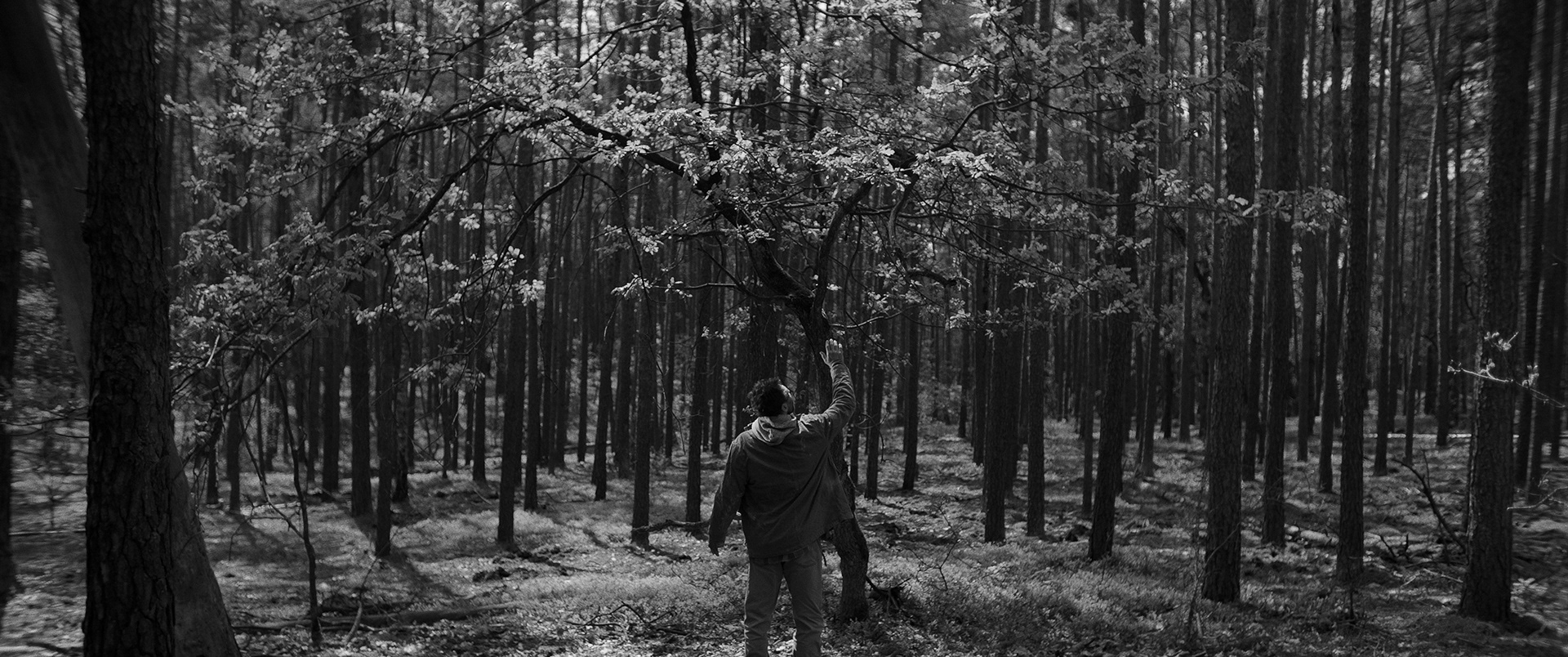 DRIFTWOOD SHORT FILM 3/4