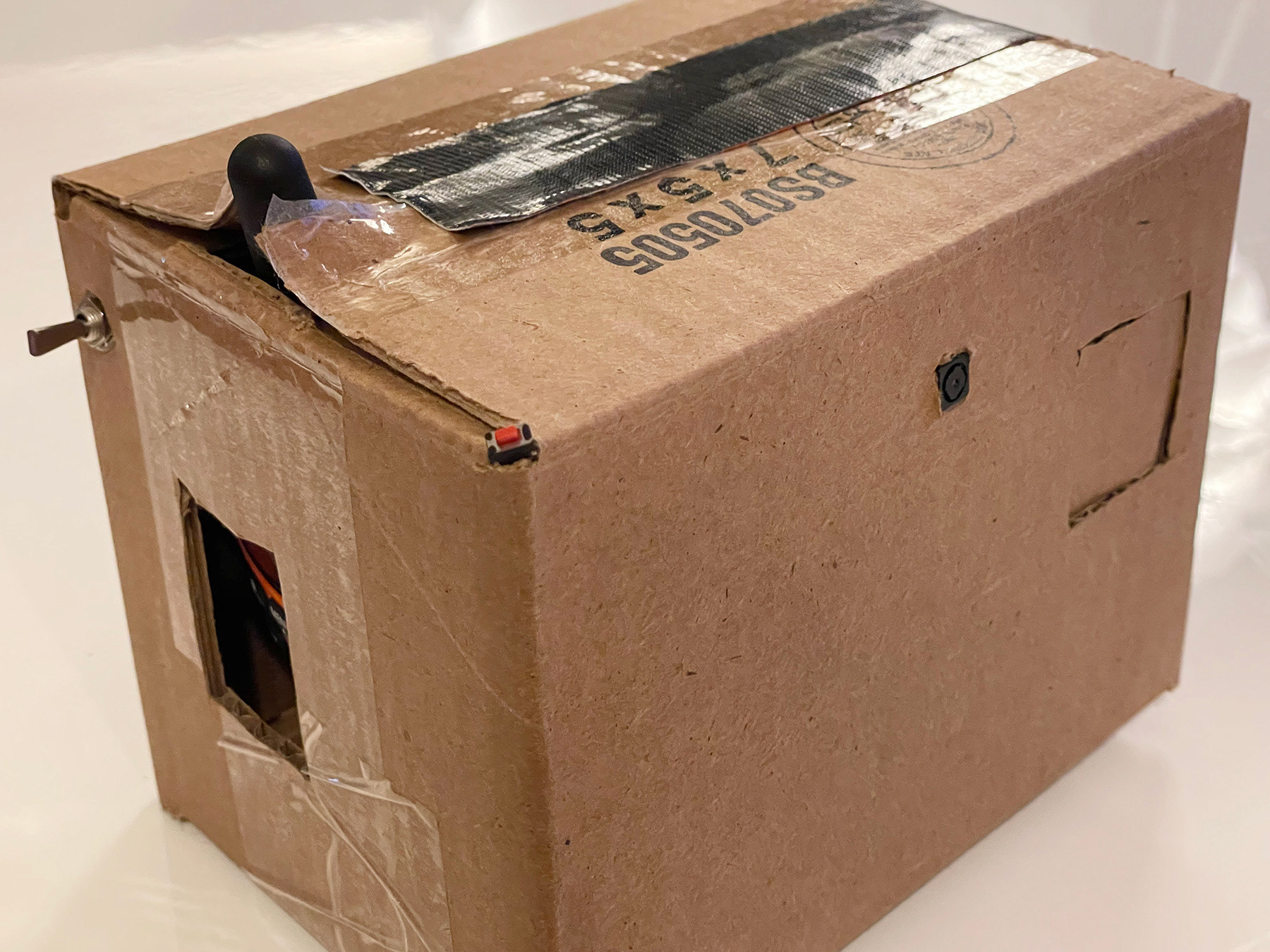 Working Prototype - 2021