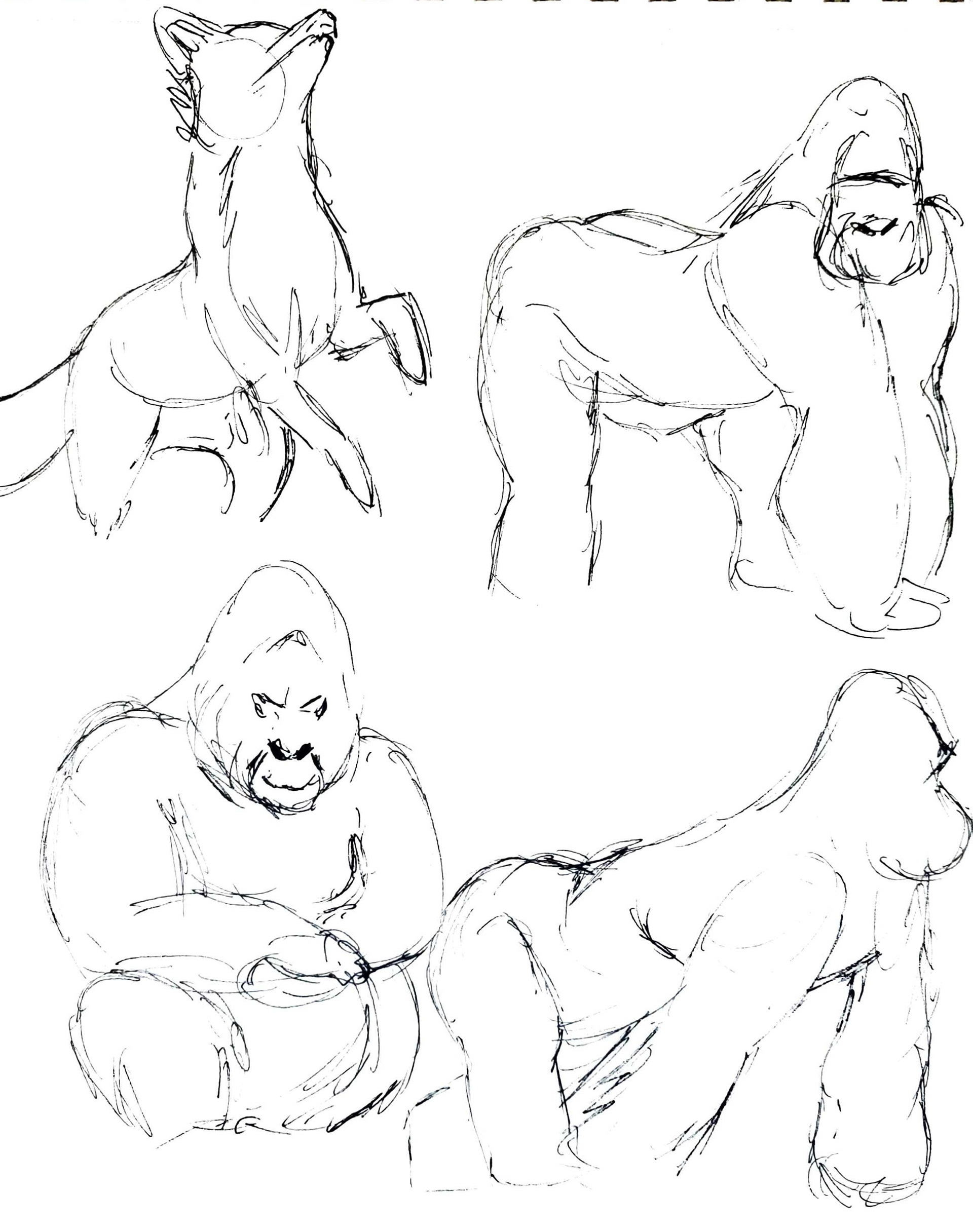 Fox and Gorilla