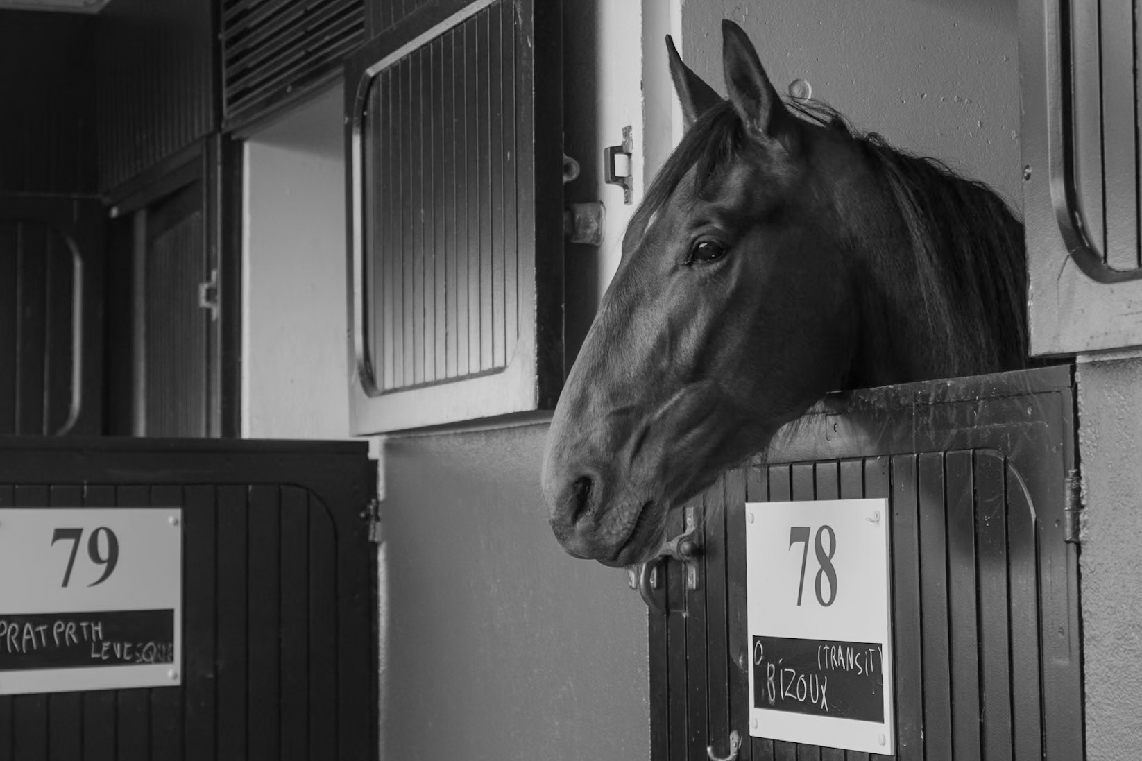 Vincennes, Paris, France, 2025