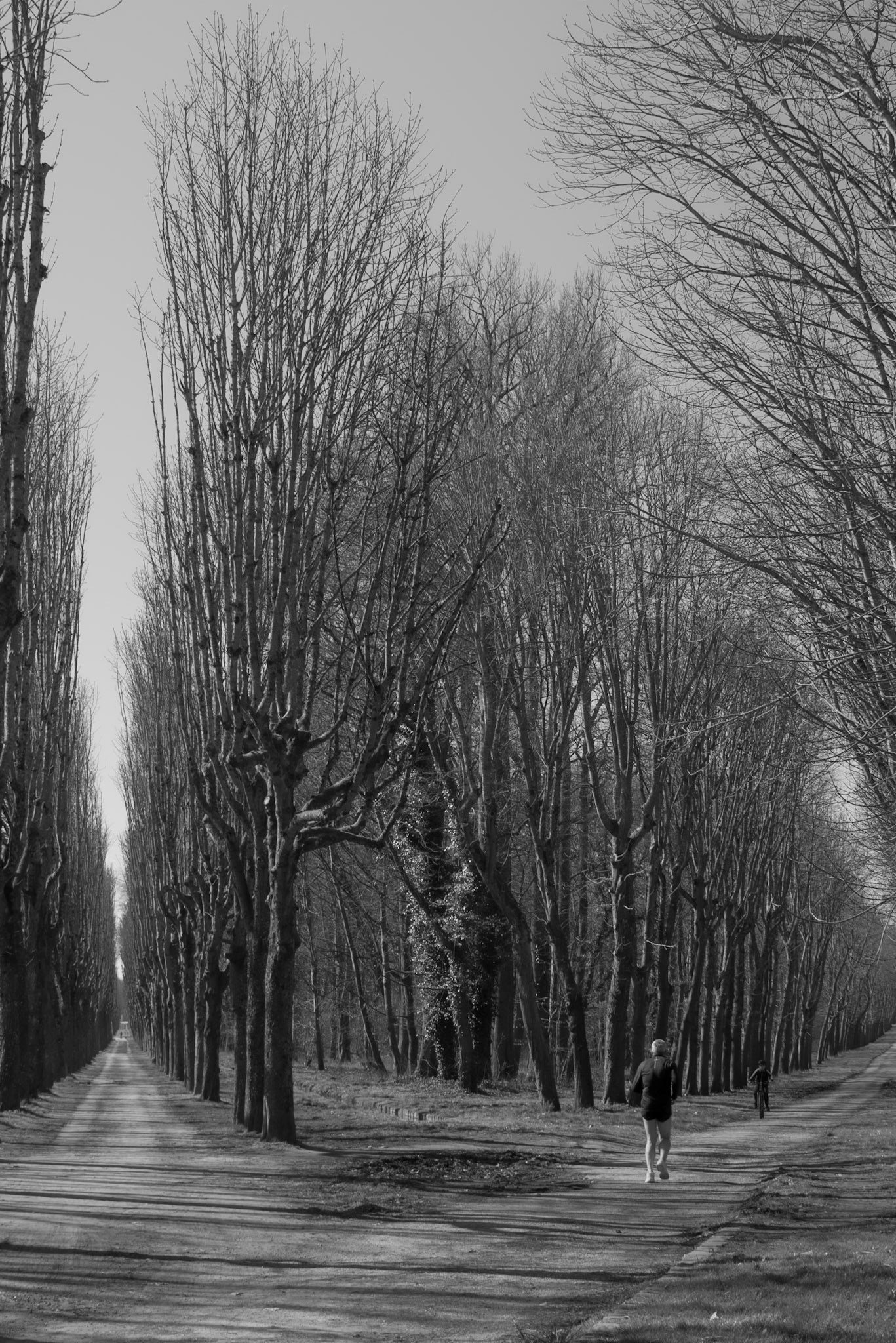 Fontainebleau / Château de Fontainebleau, France, 2025