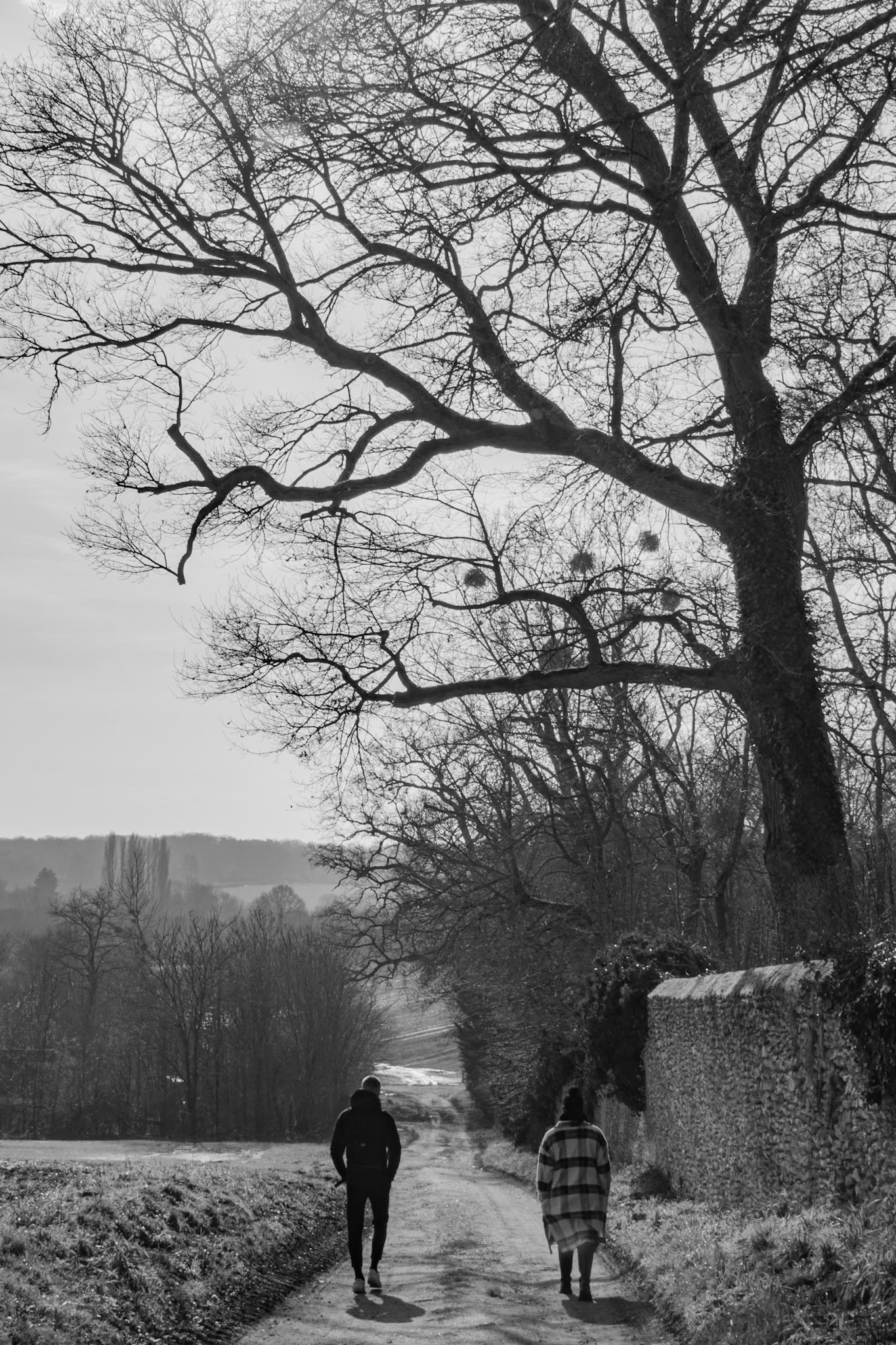 Montfort l’Amaury, Yvelines, France, 2025