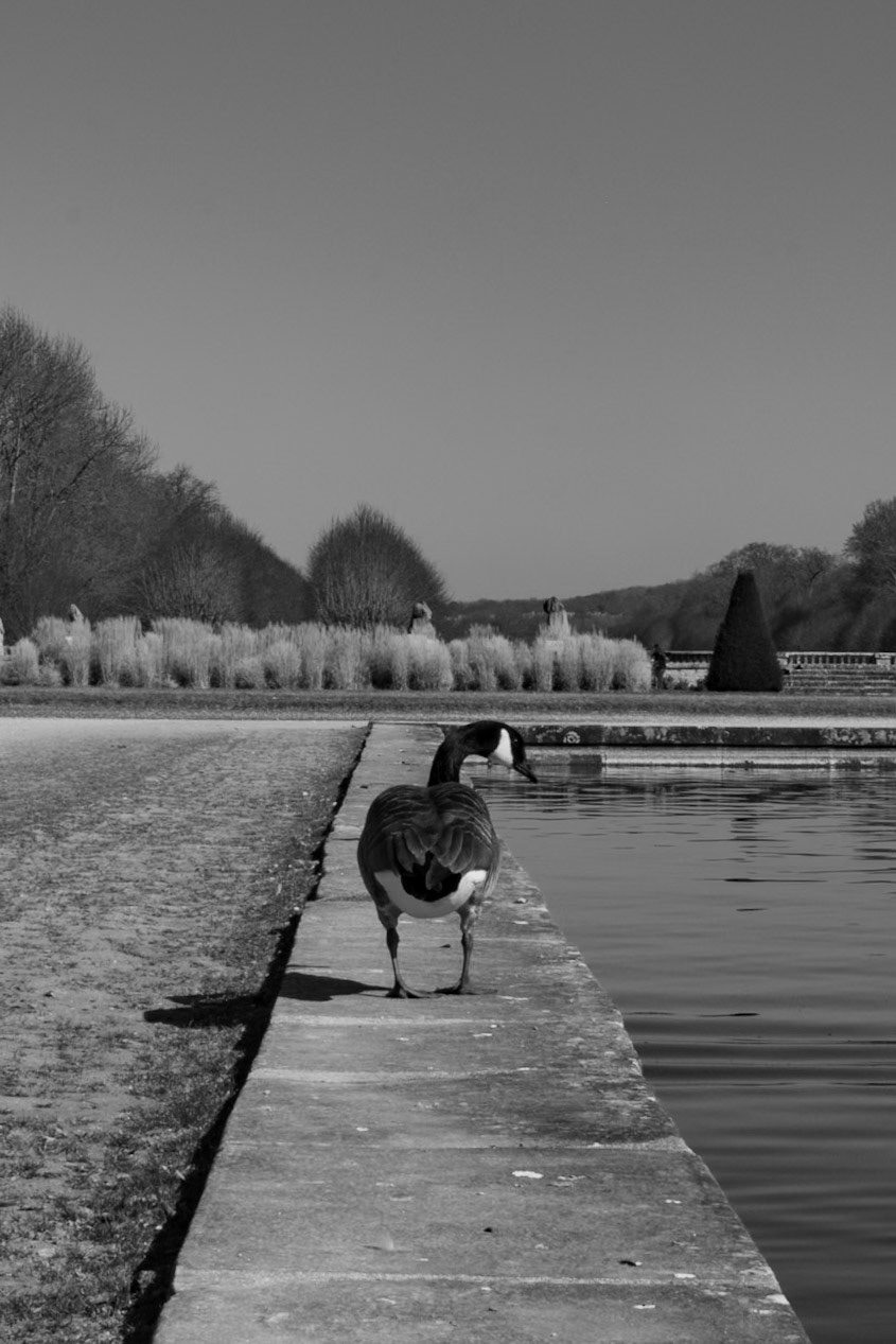 Fontainebleau / Château de Fontainebleau, France, 2025