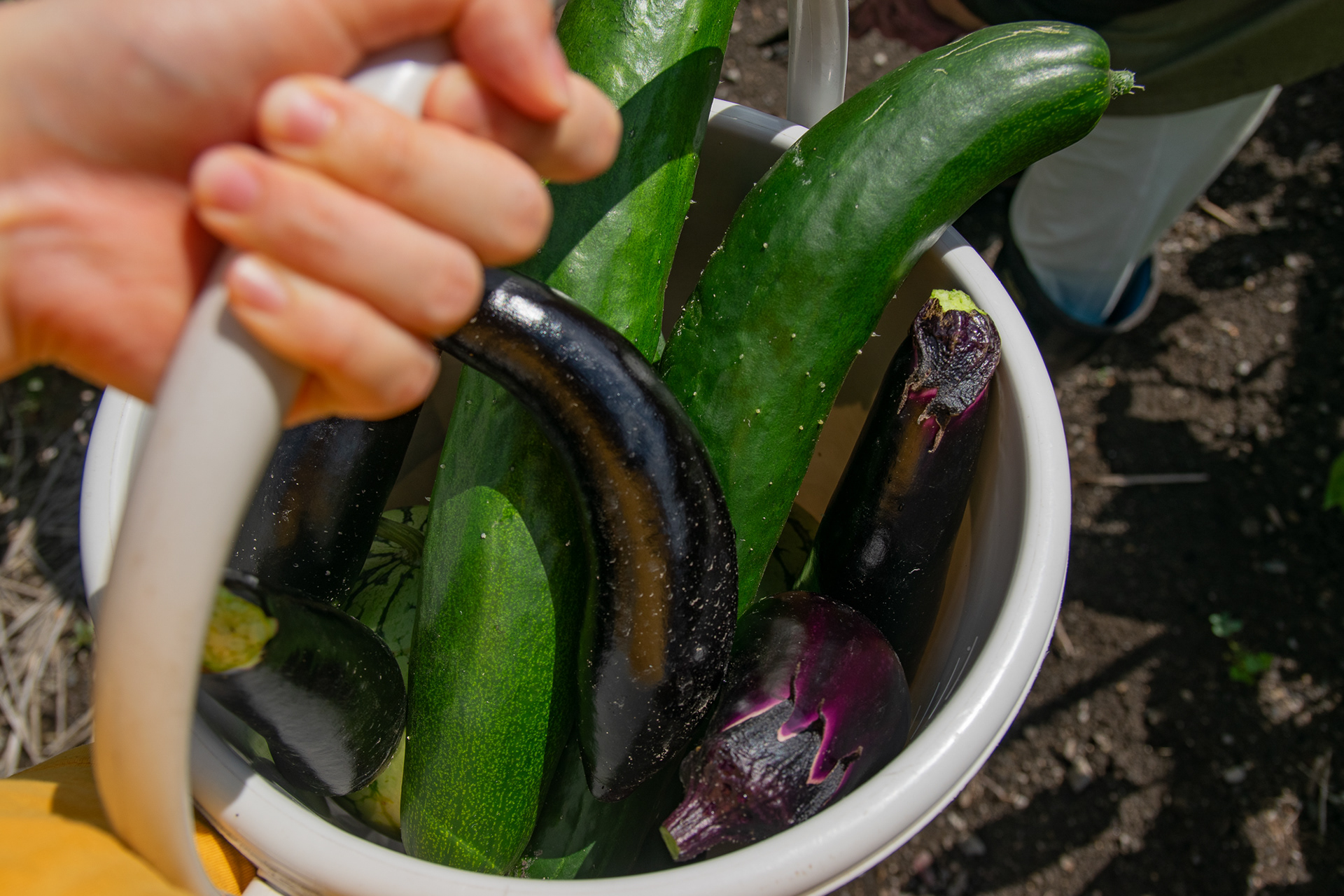 The vegetables grown in my grandparents’ garden are large, fresh, and healthy, and they always taste purely of the vegetables themselves.