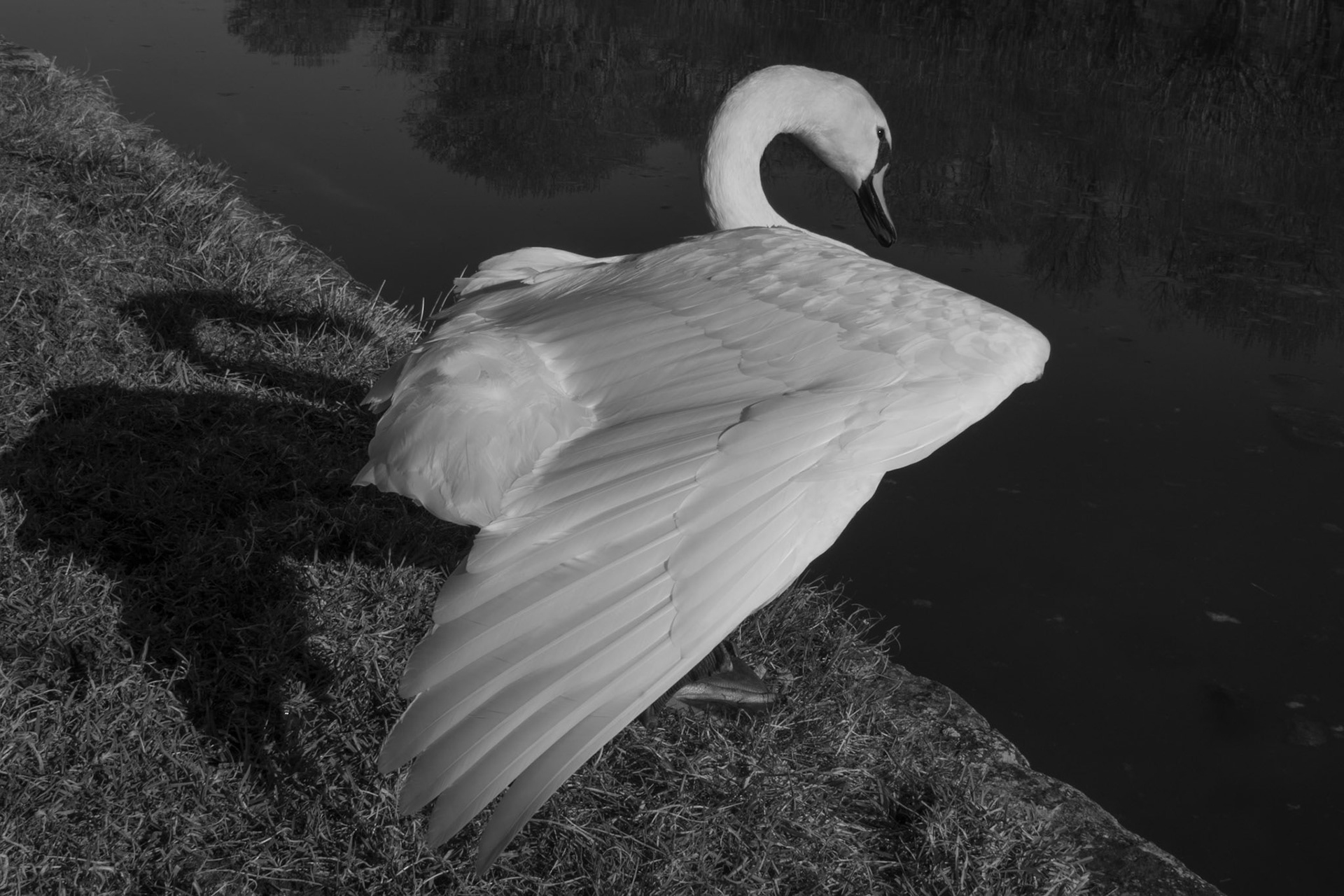 Fontainebleau / Château de Fontainebleau, France, 2025
