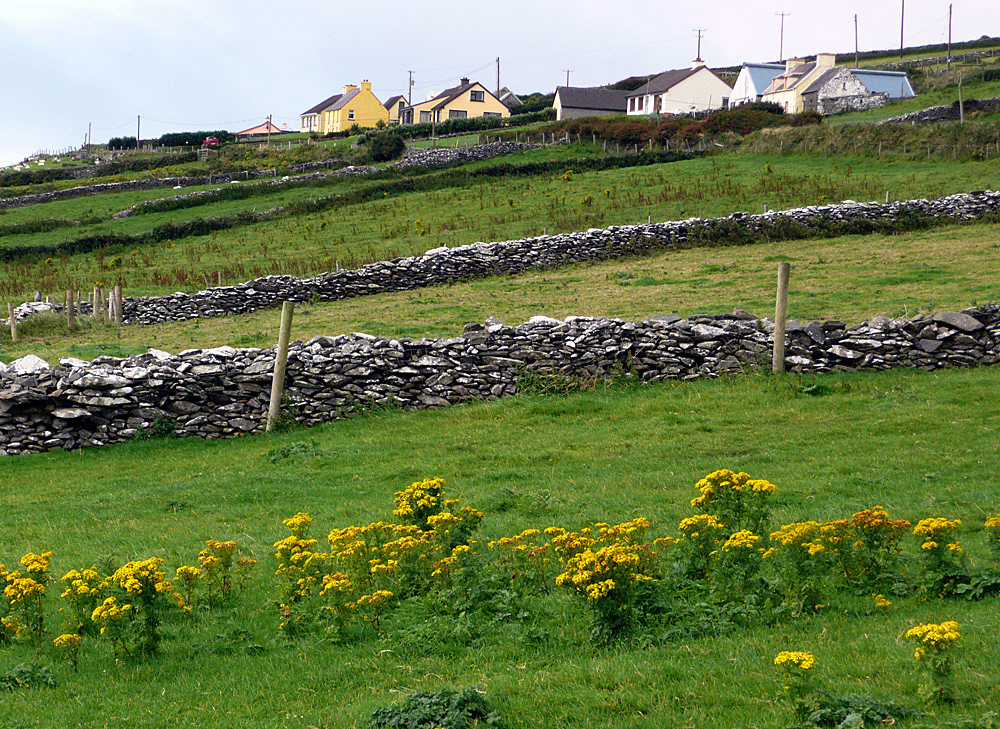 Irish Stone Walls