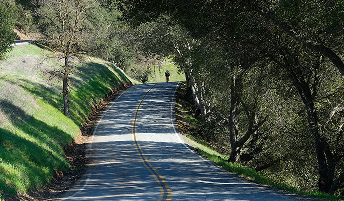 Bicyclist on Winding Road