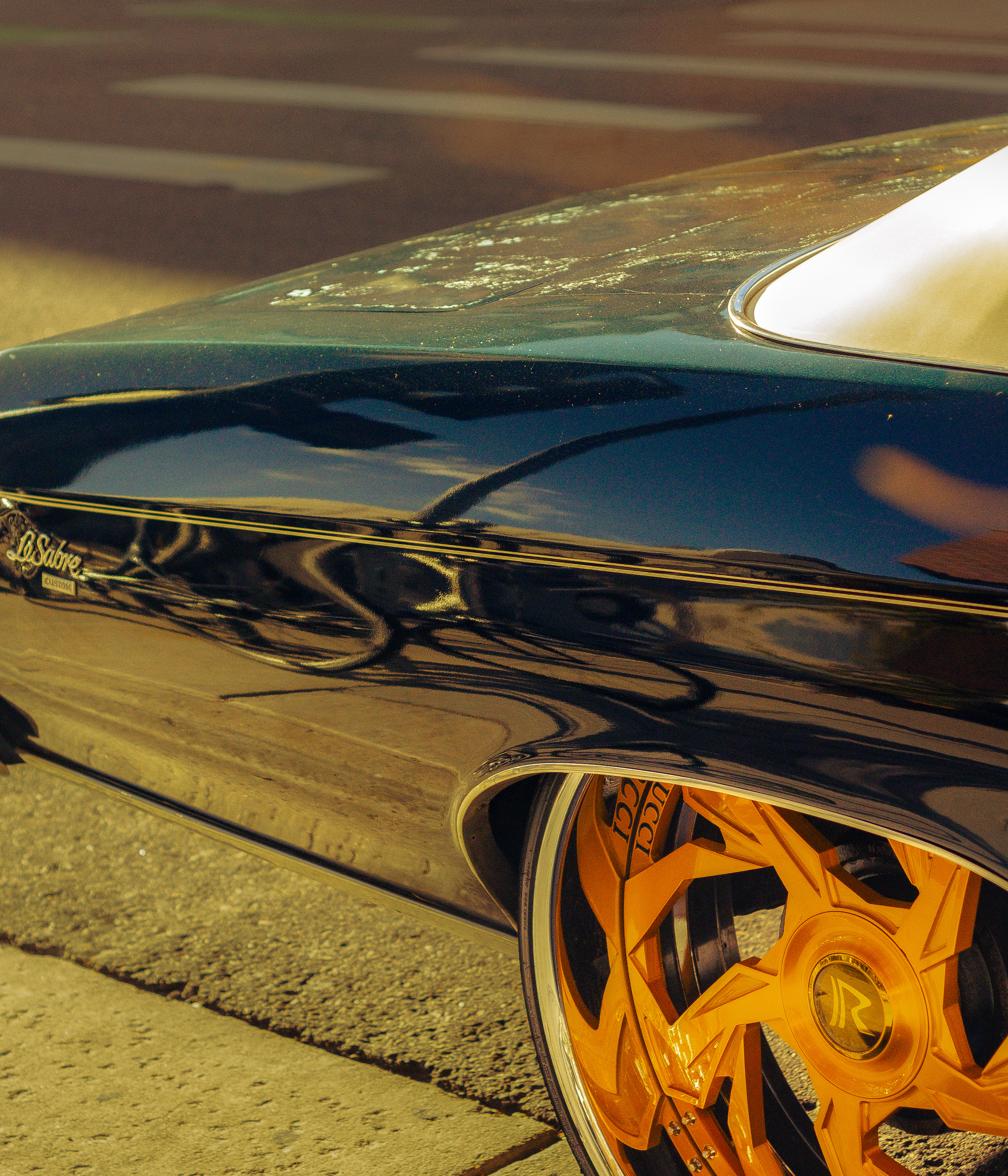 smooth texture dominating the frame