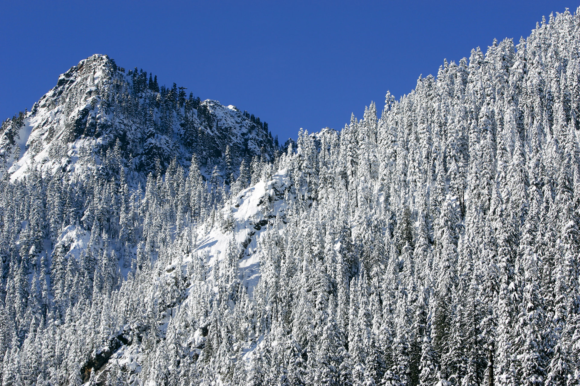 Denny Mountian - Snoqualmie Pass, WA