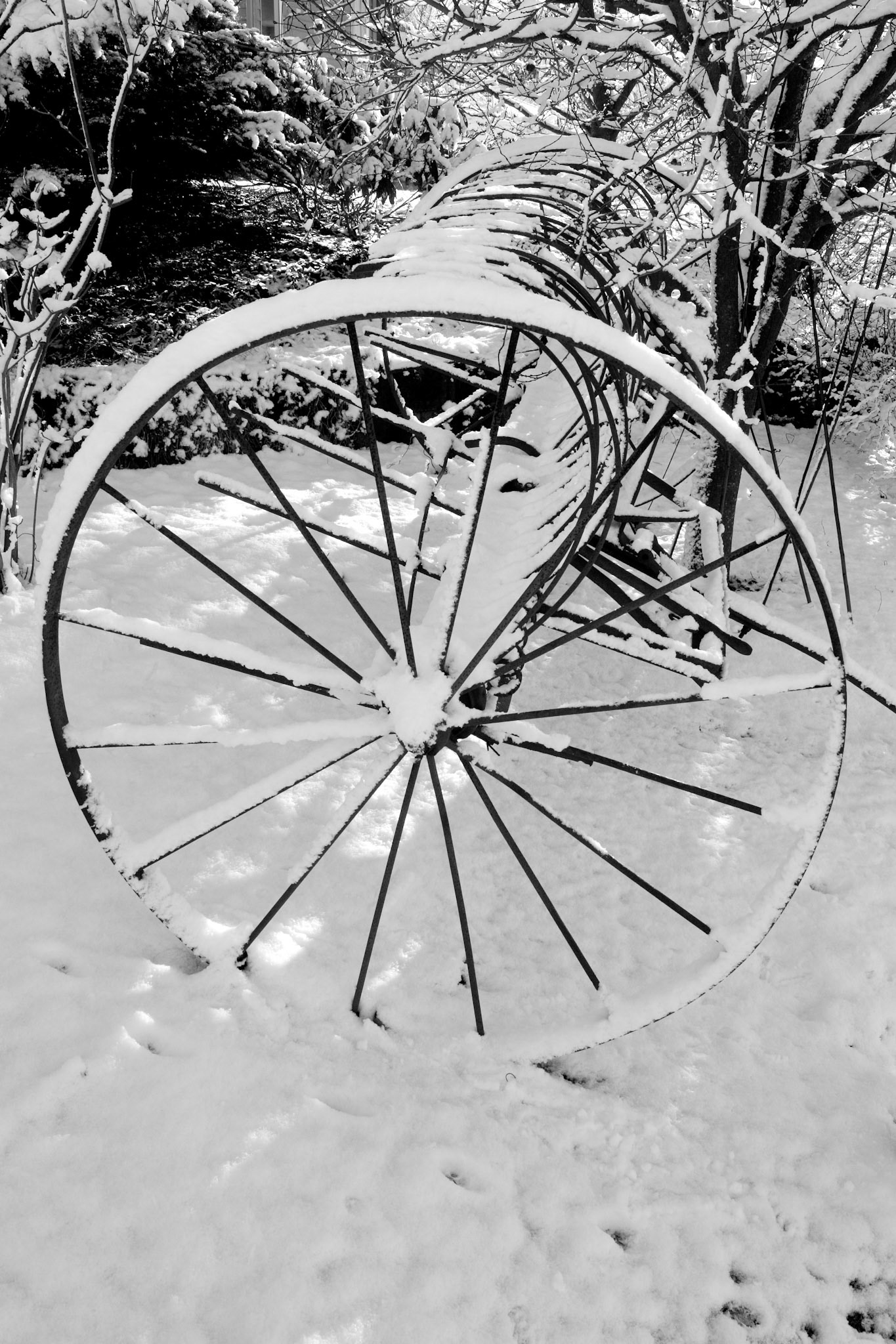 Snowy Hay Rack - Kirkland, WA