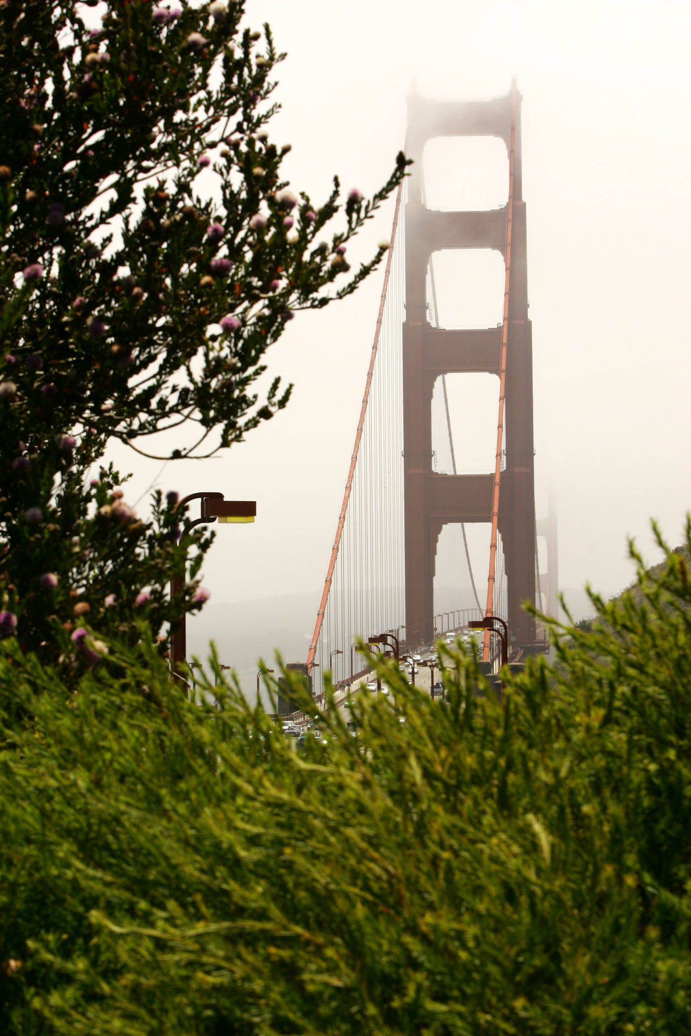 Golden Gate Bridge - San Francisco, CA