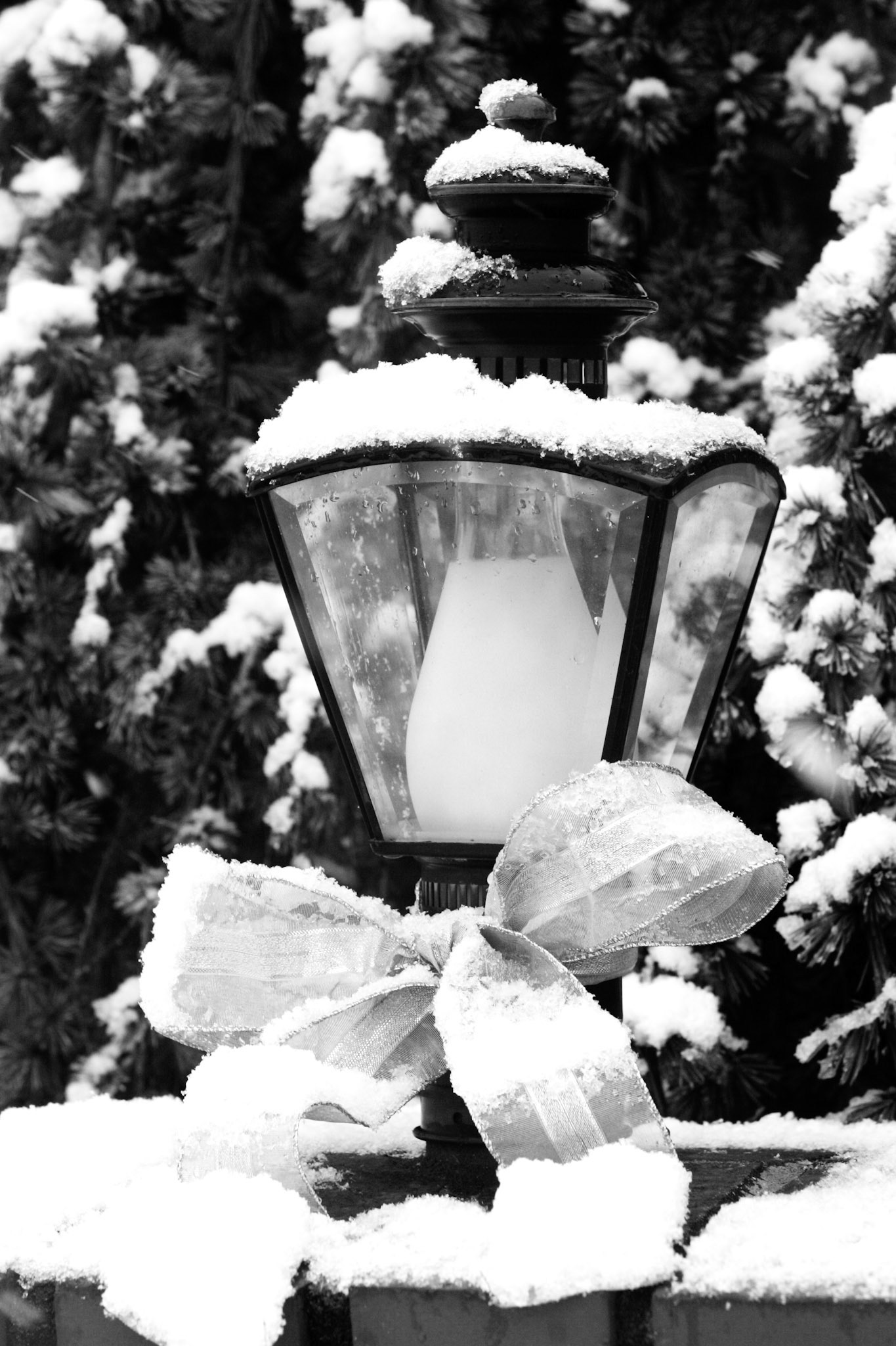 Snow and Lamp - Kirkland, WA