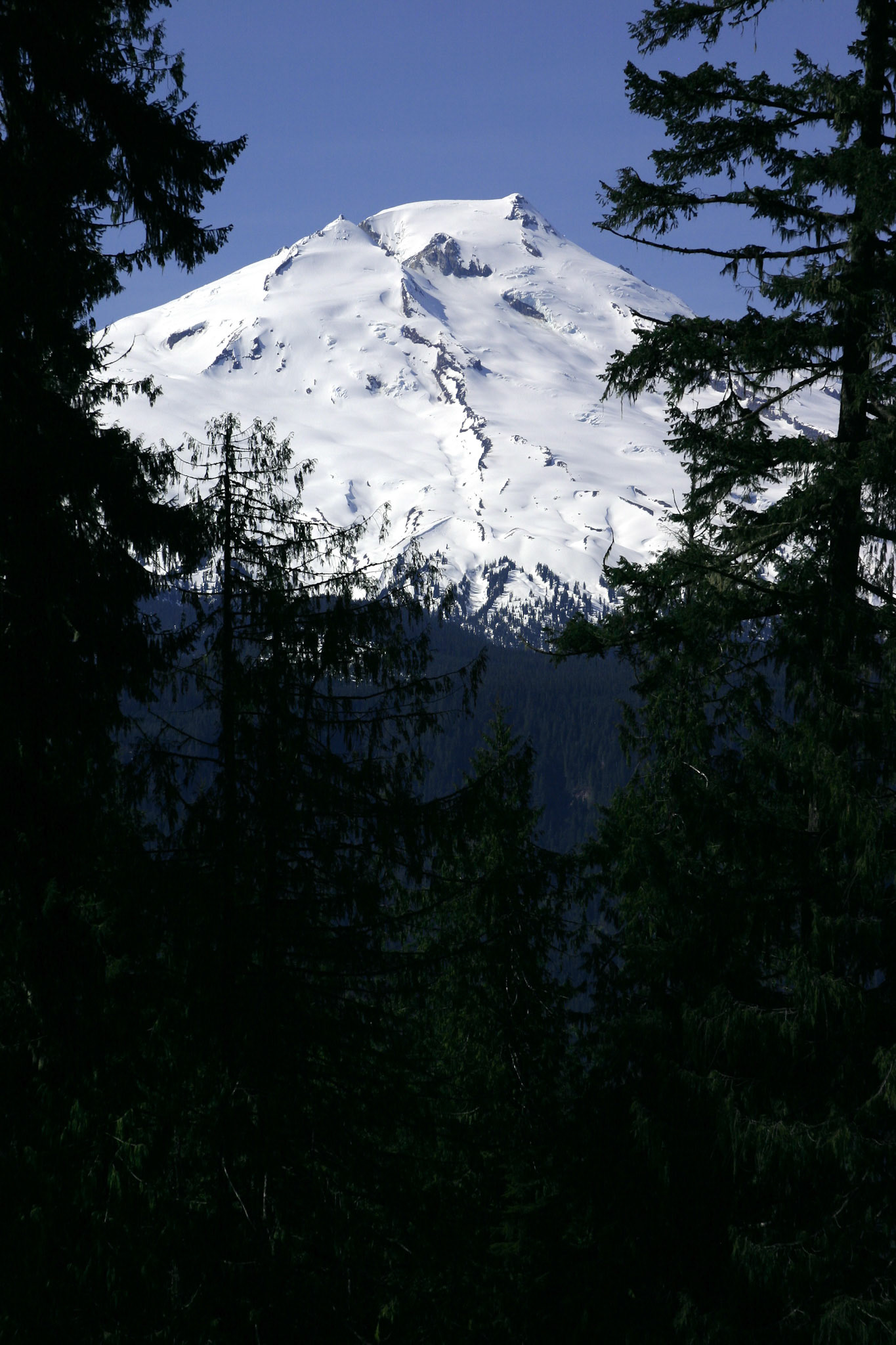 Mt Baker - Mt Baker-Snoqualmie National Forest