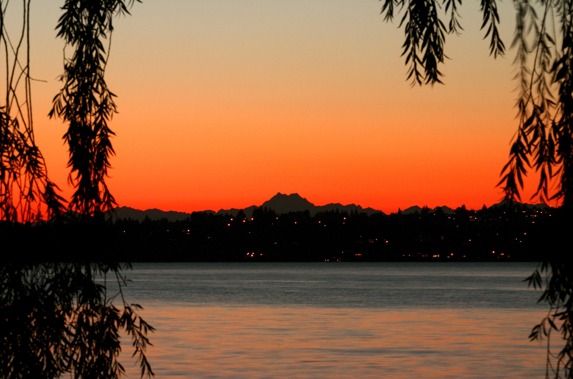 Two Brothers at Sunset - Kirkland, WA