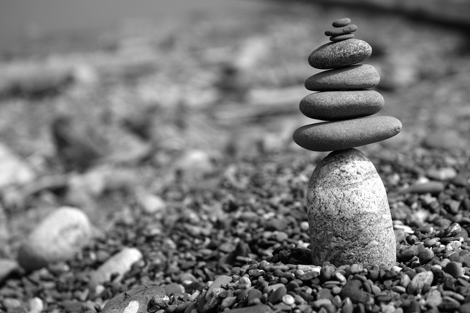 Balanced Rocks - Dungeness Spit - Sequim, WA