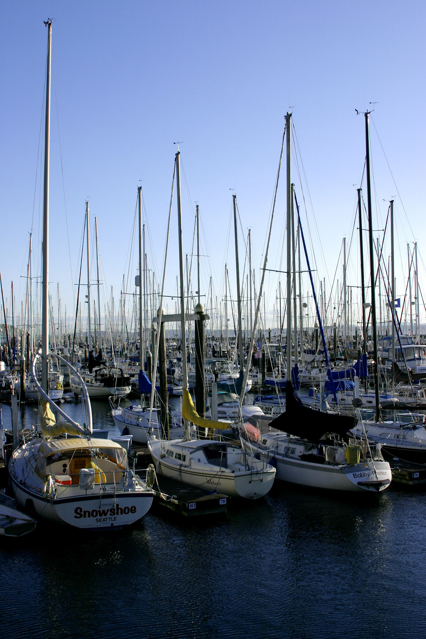 Sailboats in Dock - Golden Gardens Park - Seattle, WA
