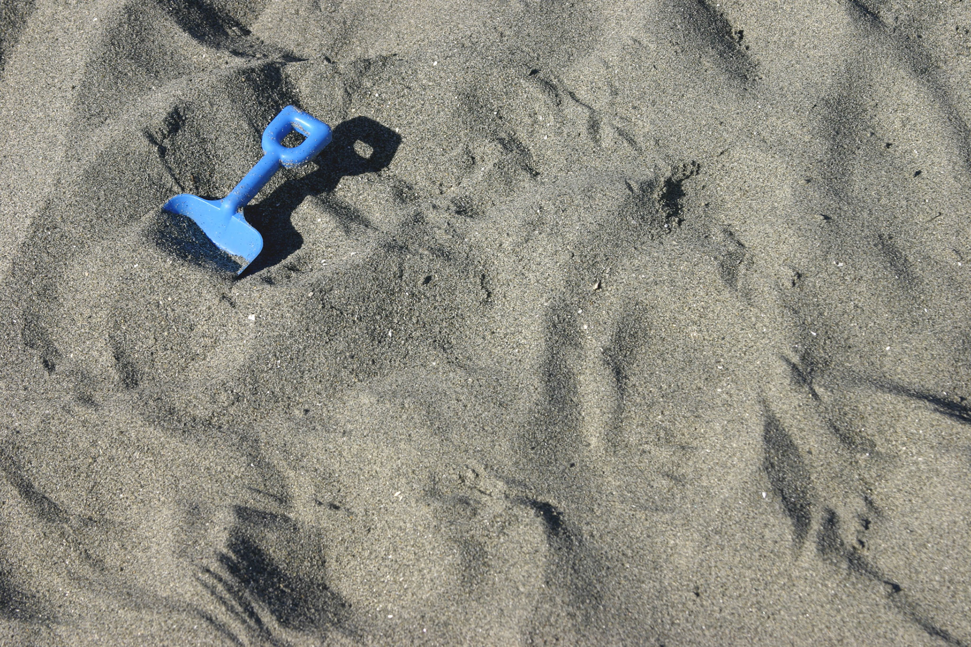 Lost shovel - Discovery Park - Seattle, WA