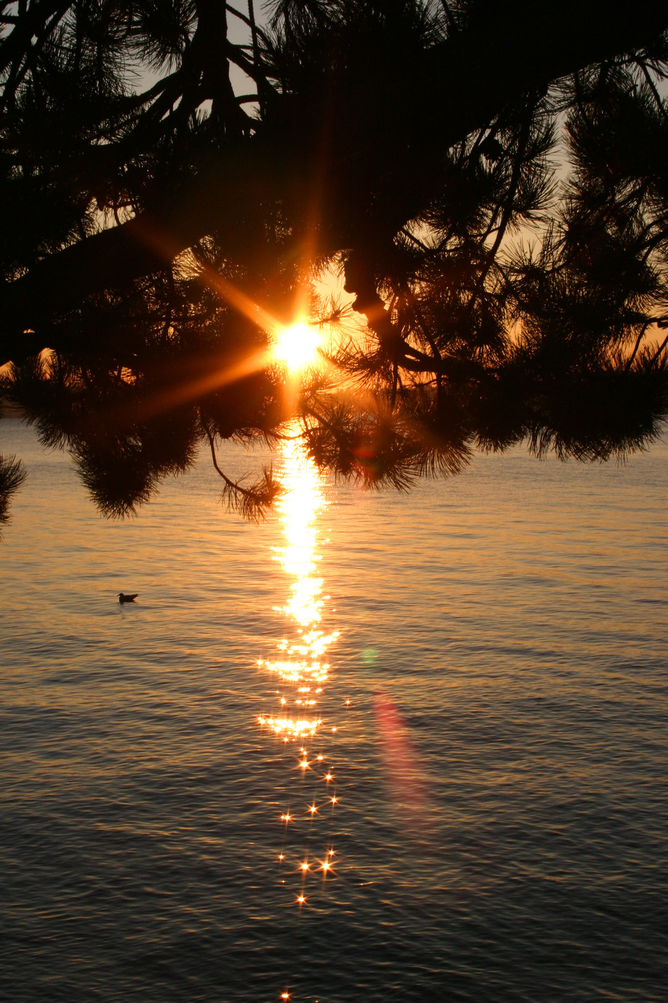 Sunset on Lake Washington - Kirkland, WA
