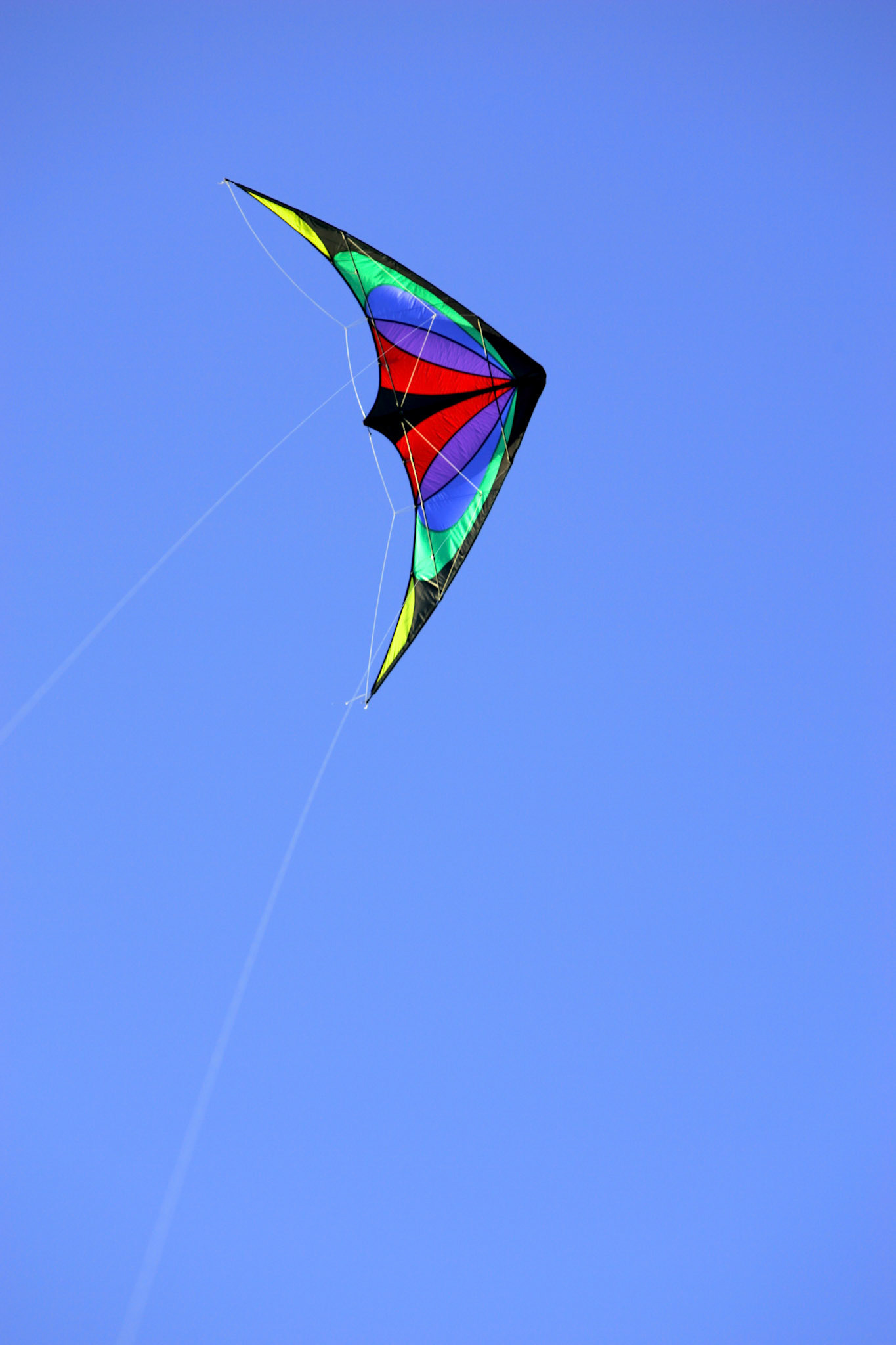 Stunt Kite - Kirkland, WA