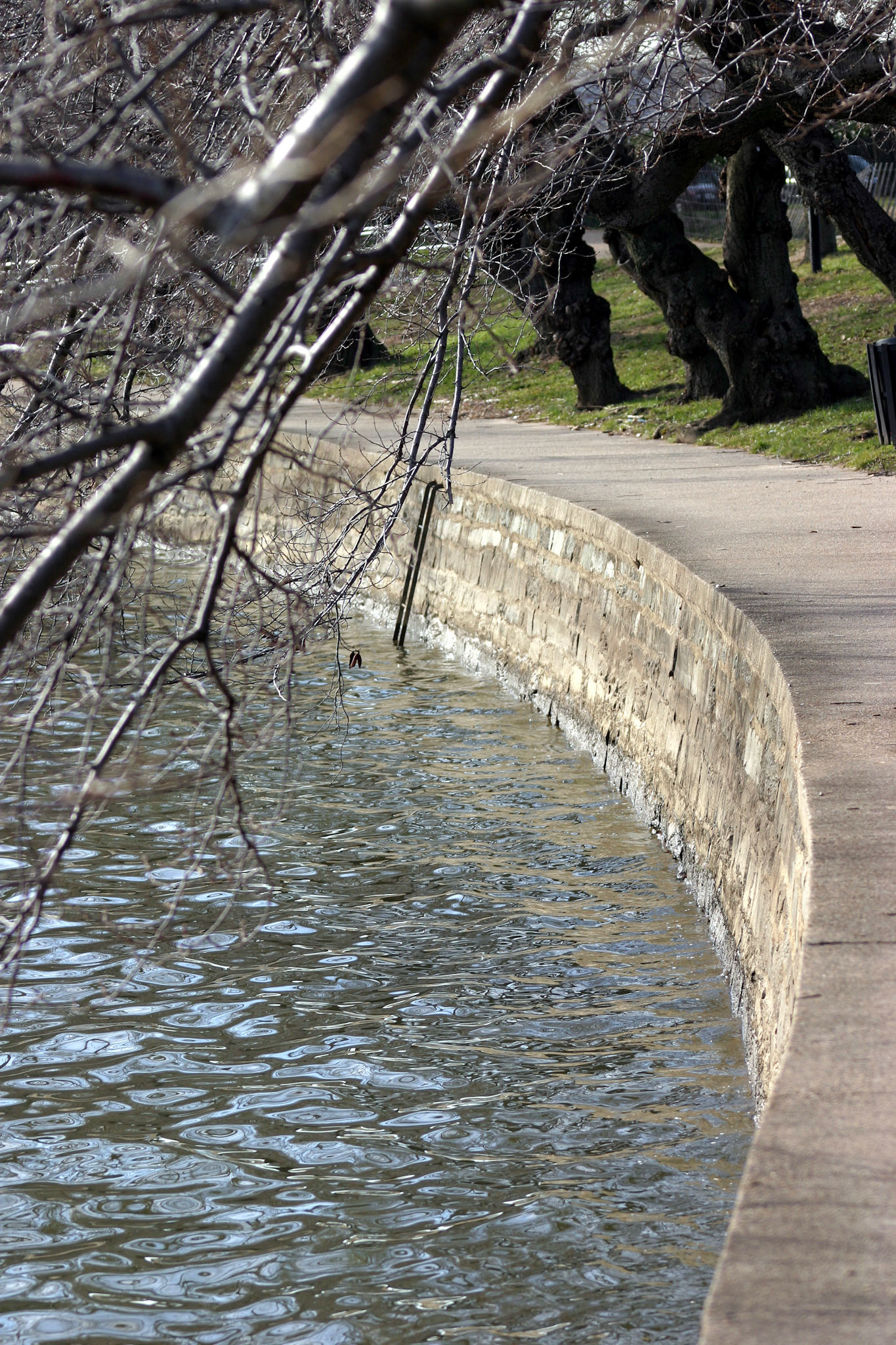 Winter walk - Washington, D.C.