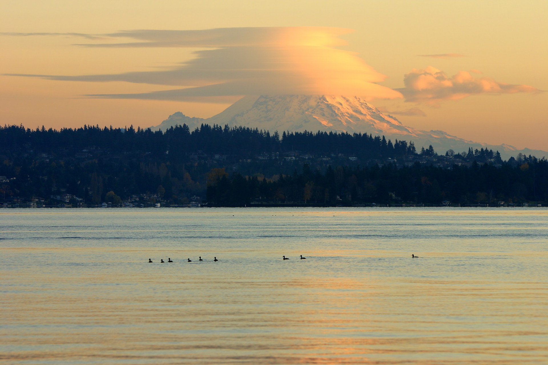Capped Ranier and ducks - Denny Park - Kirkland, WA