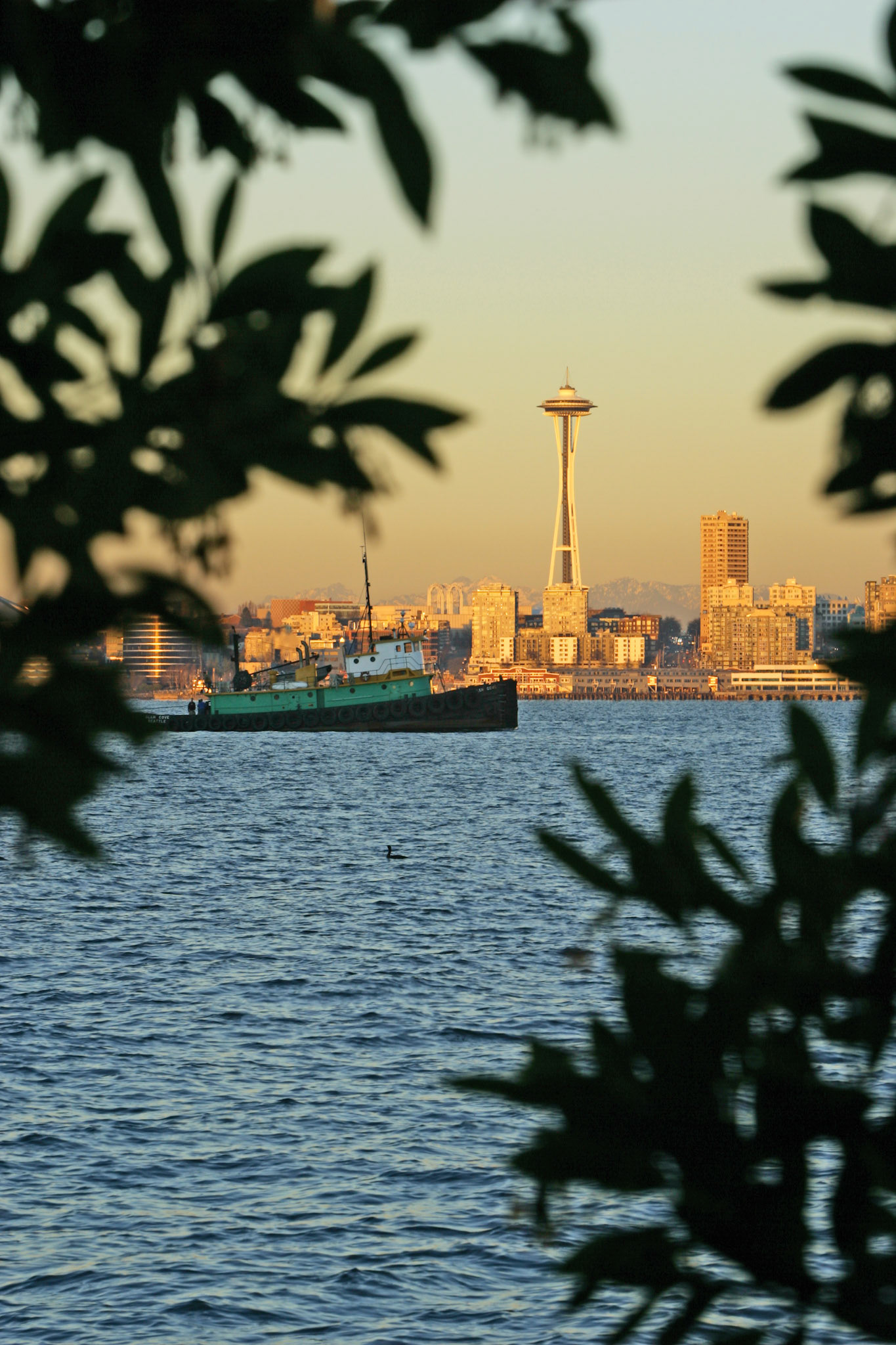Space Needle &amp; Tug - Seattle, WA