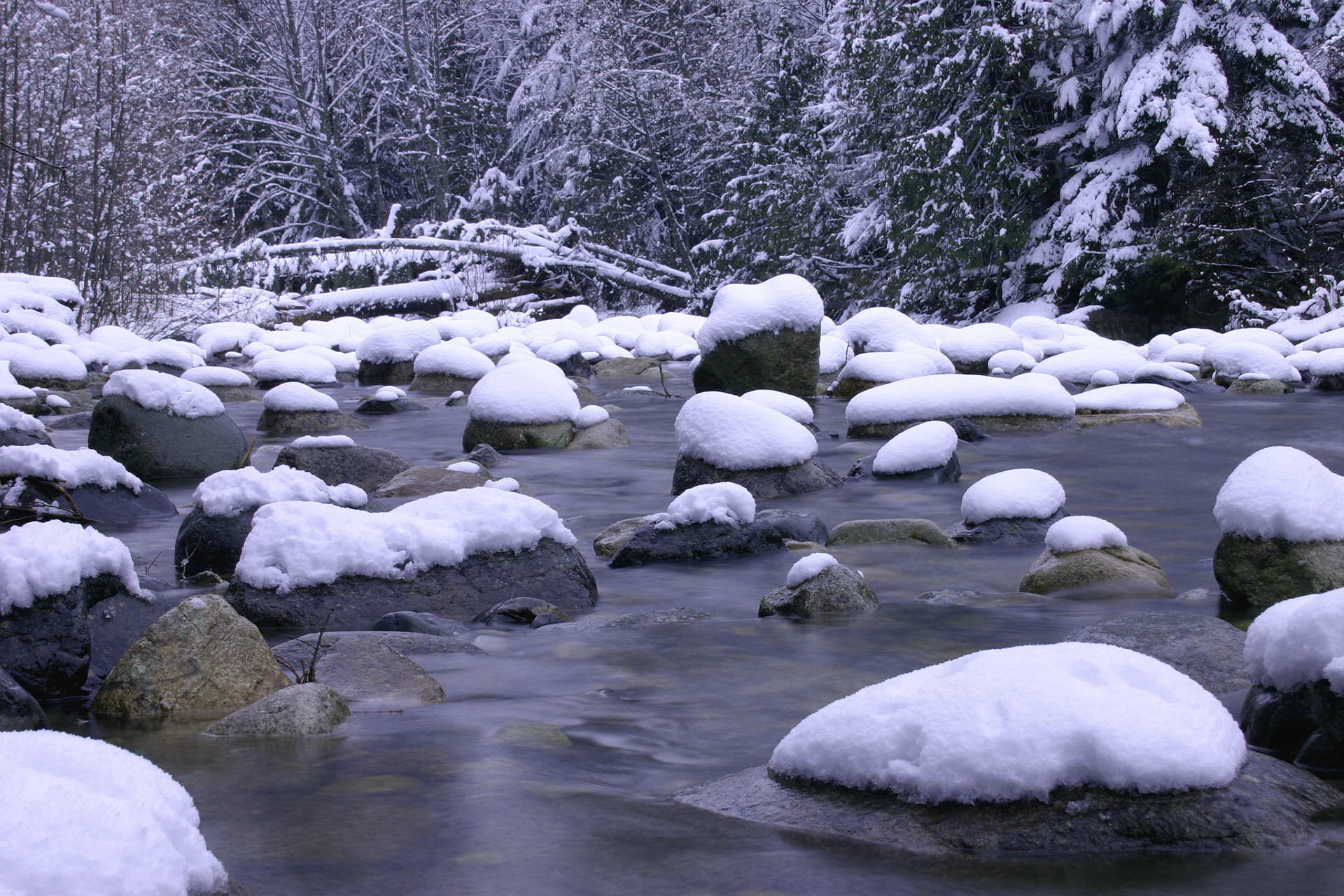 Snow capped rocks - Snoqualmie Pass, WA